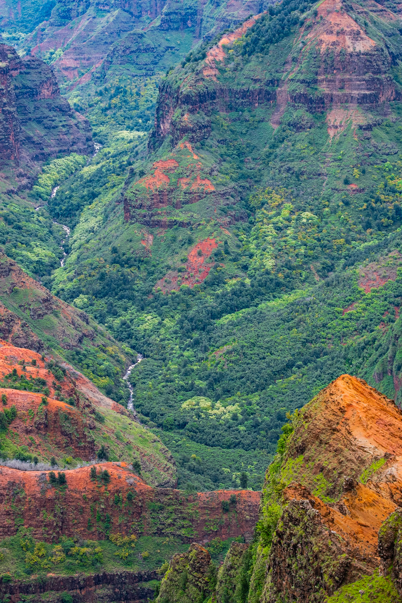 Canyon in Kauai