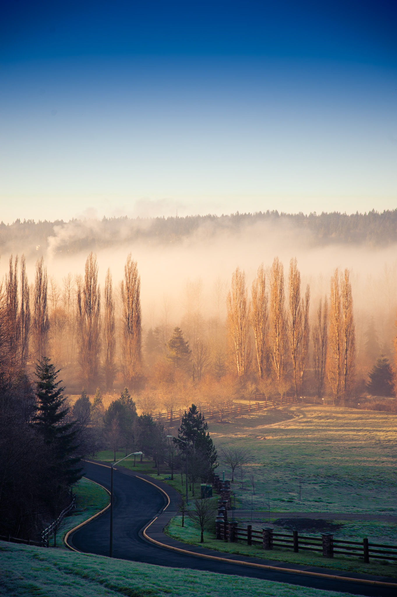 Foggy morning in Redmond