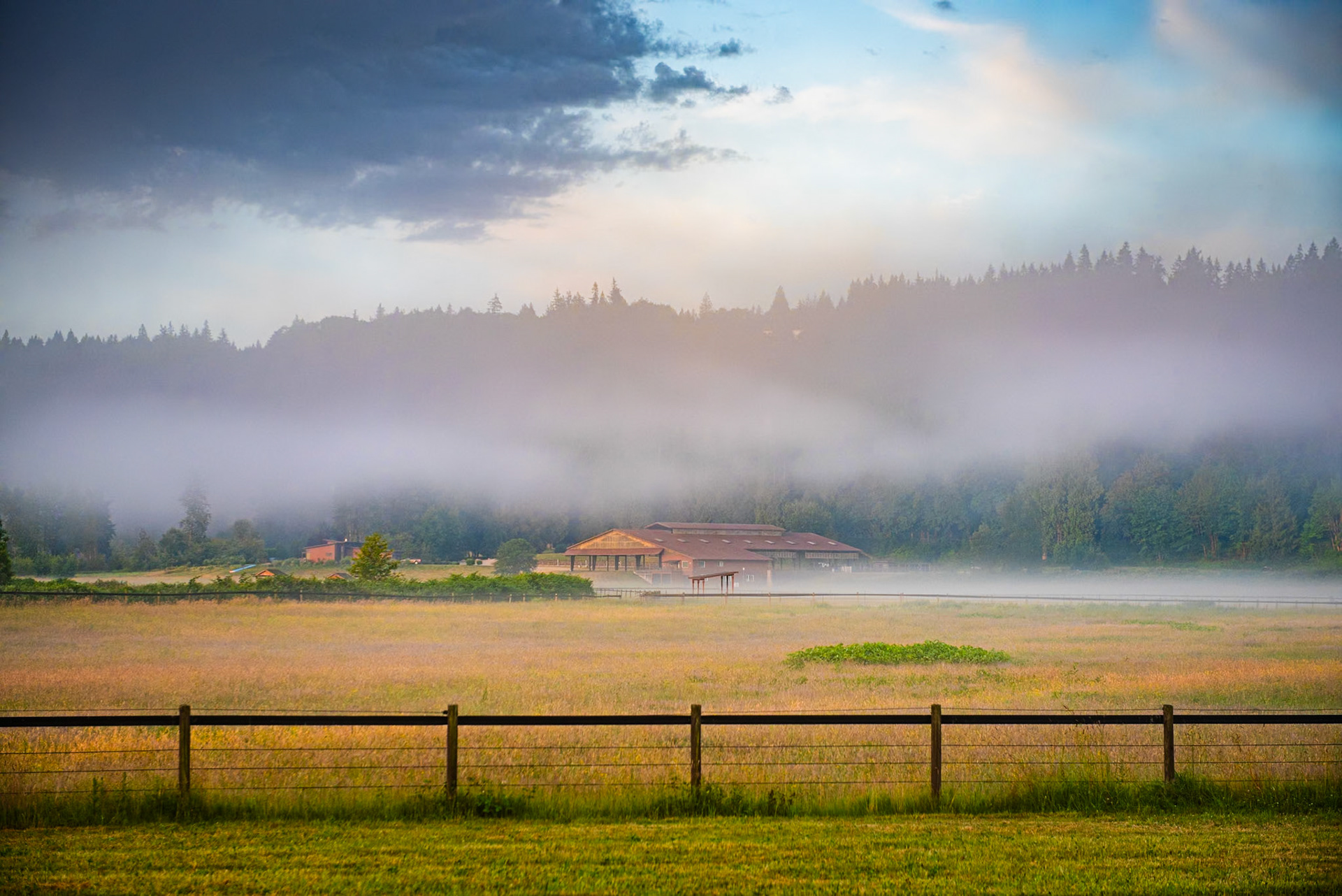 Early morning in Redmond
