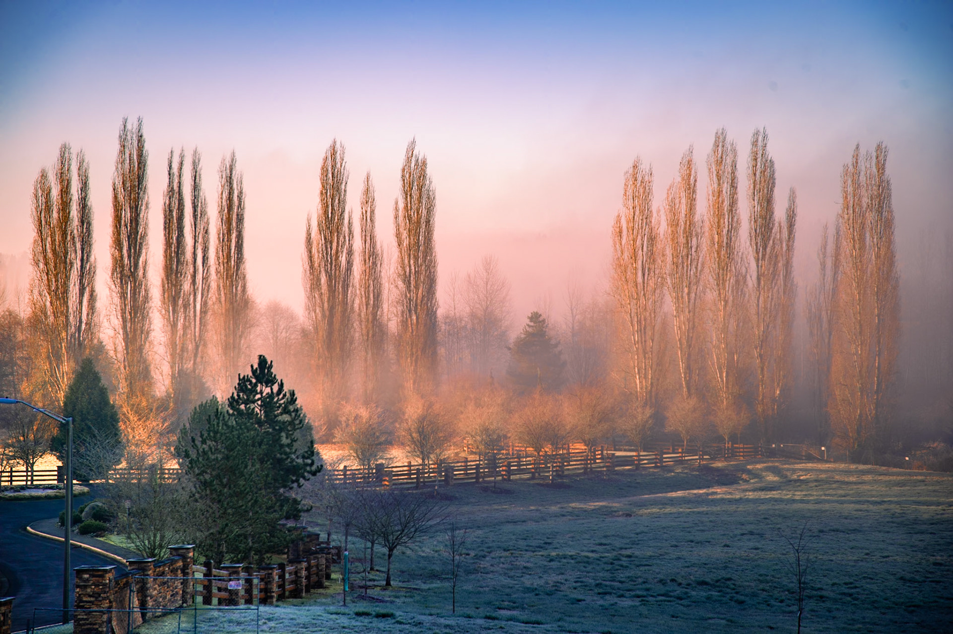 Rolling Fog in Redmond