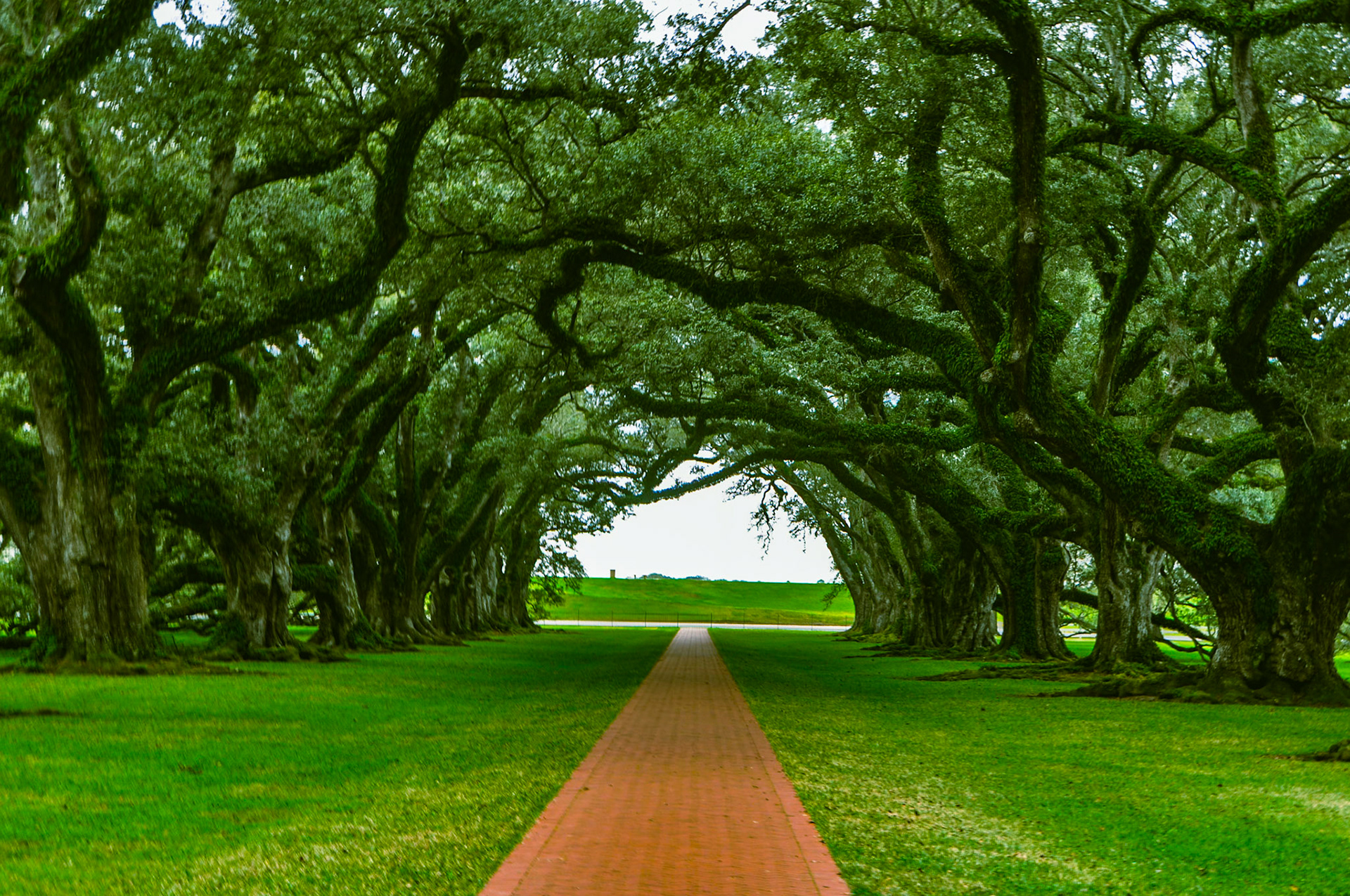 Thousan Oak Plantation
