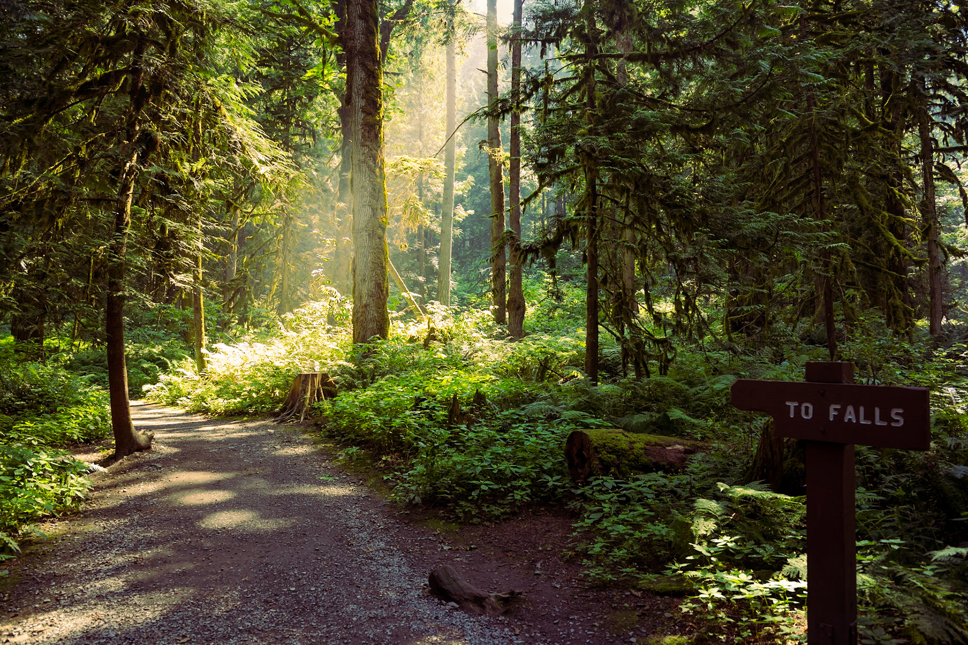 Bridal Veil Falls Trail