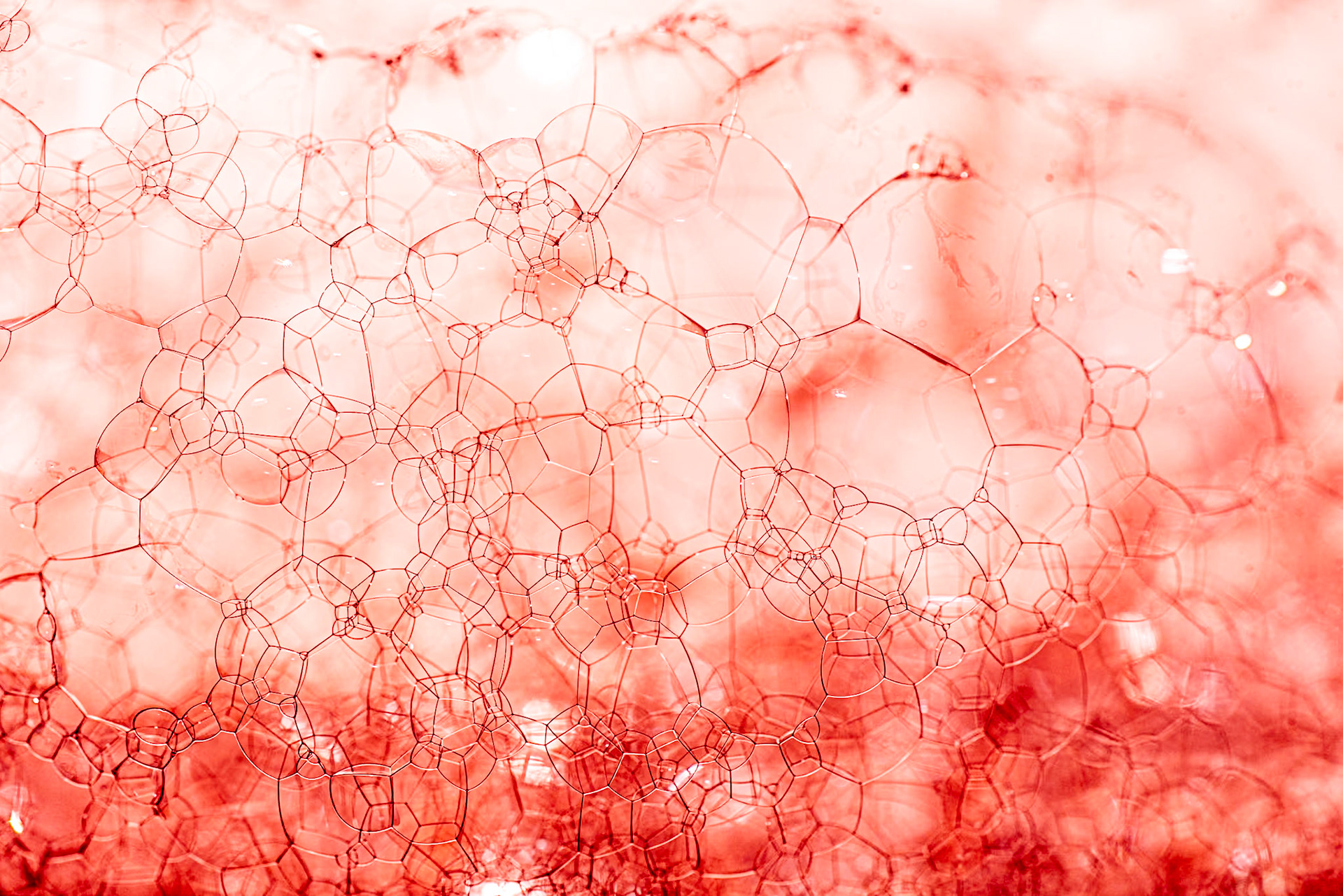 Soap bubbles