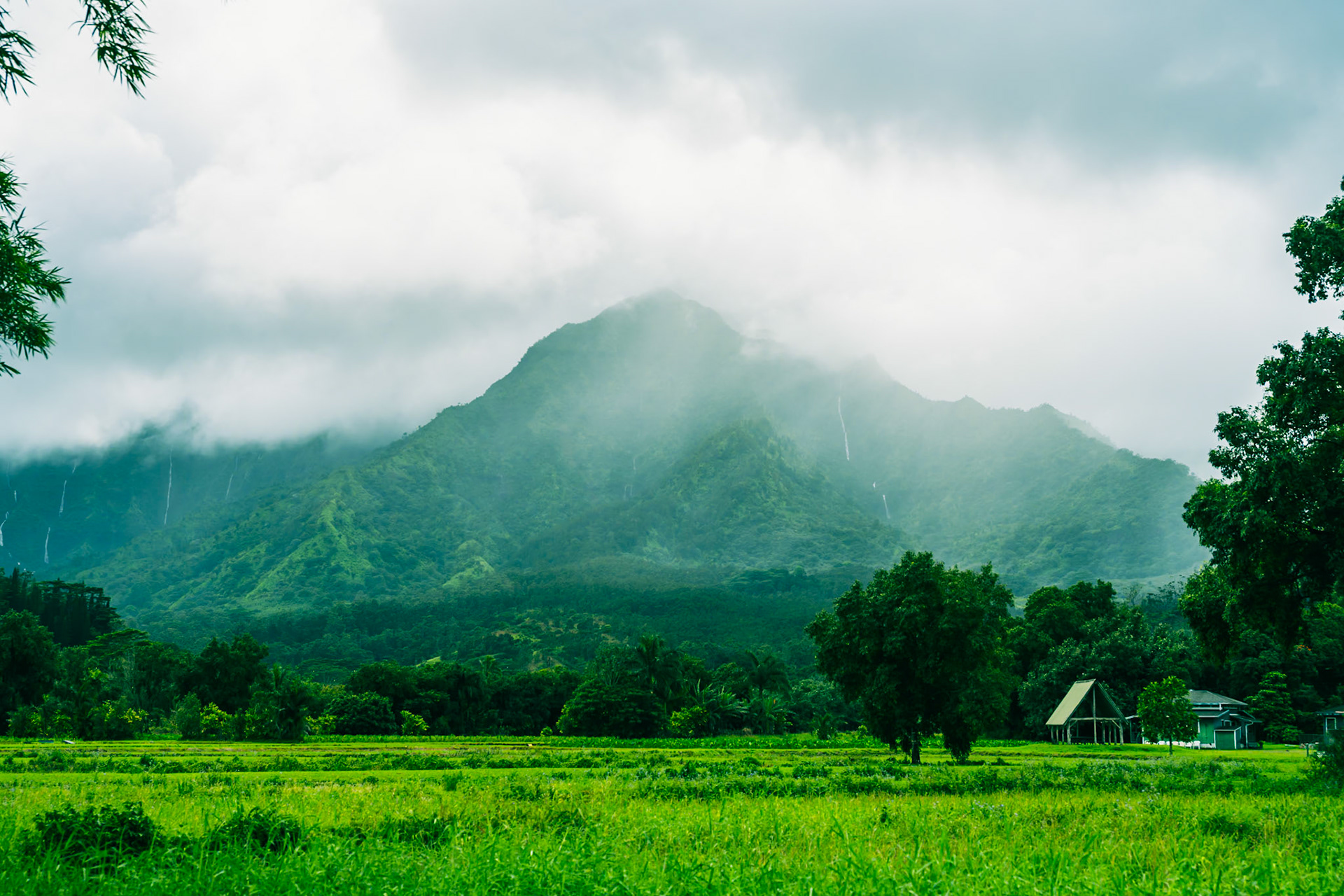 Foggy evening in Kauai