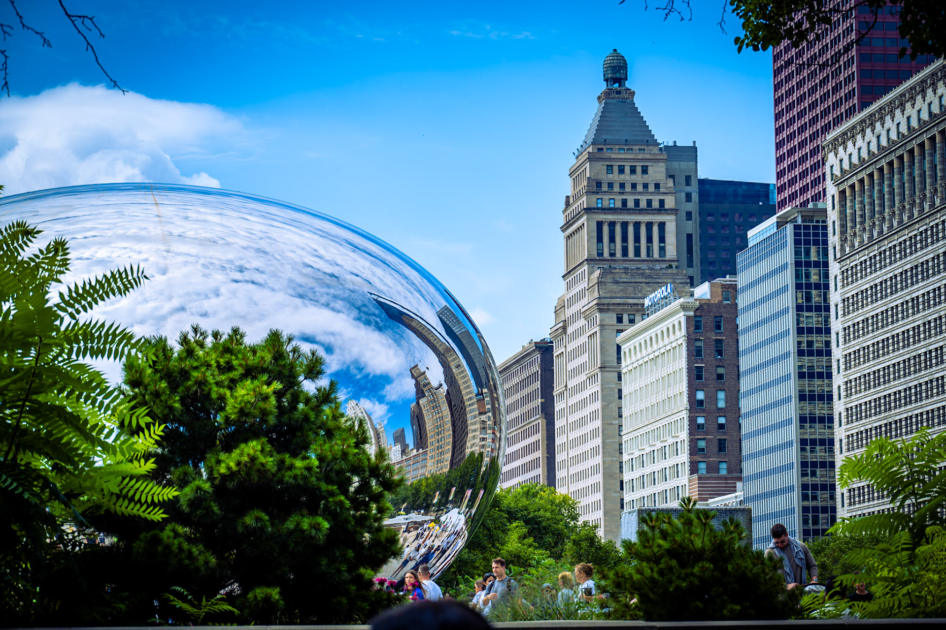 The Bean