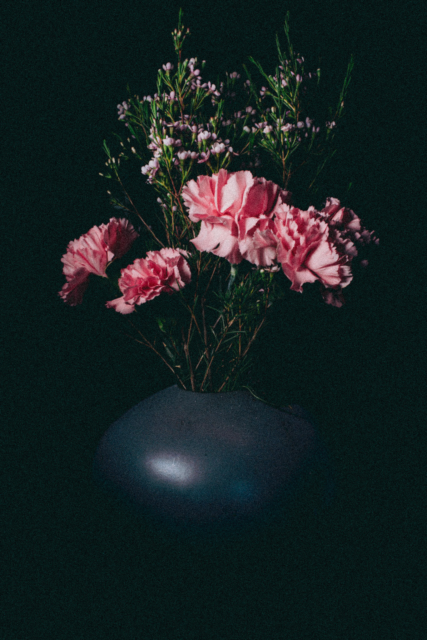 Carnations