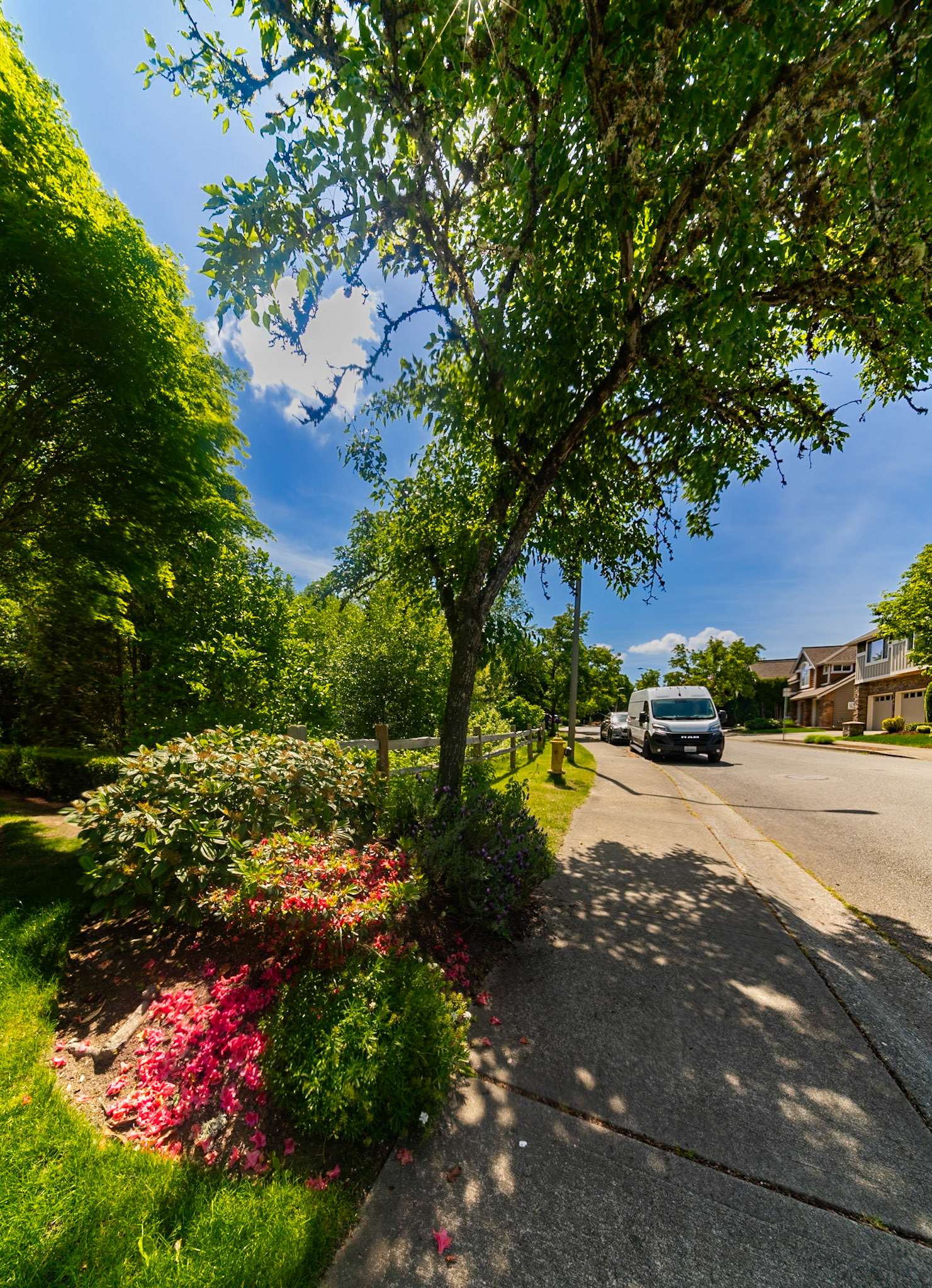 Redmond Street