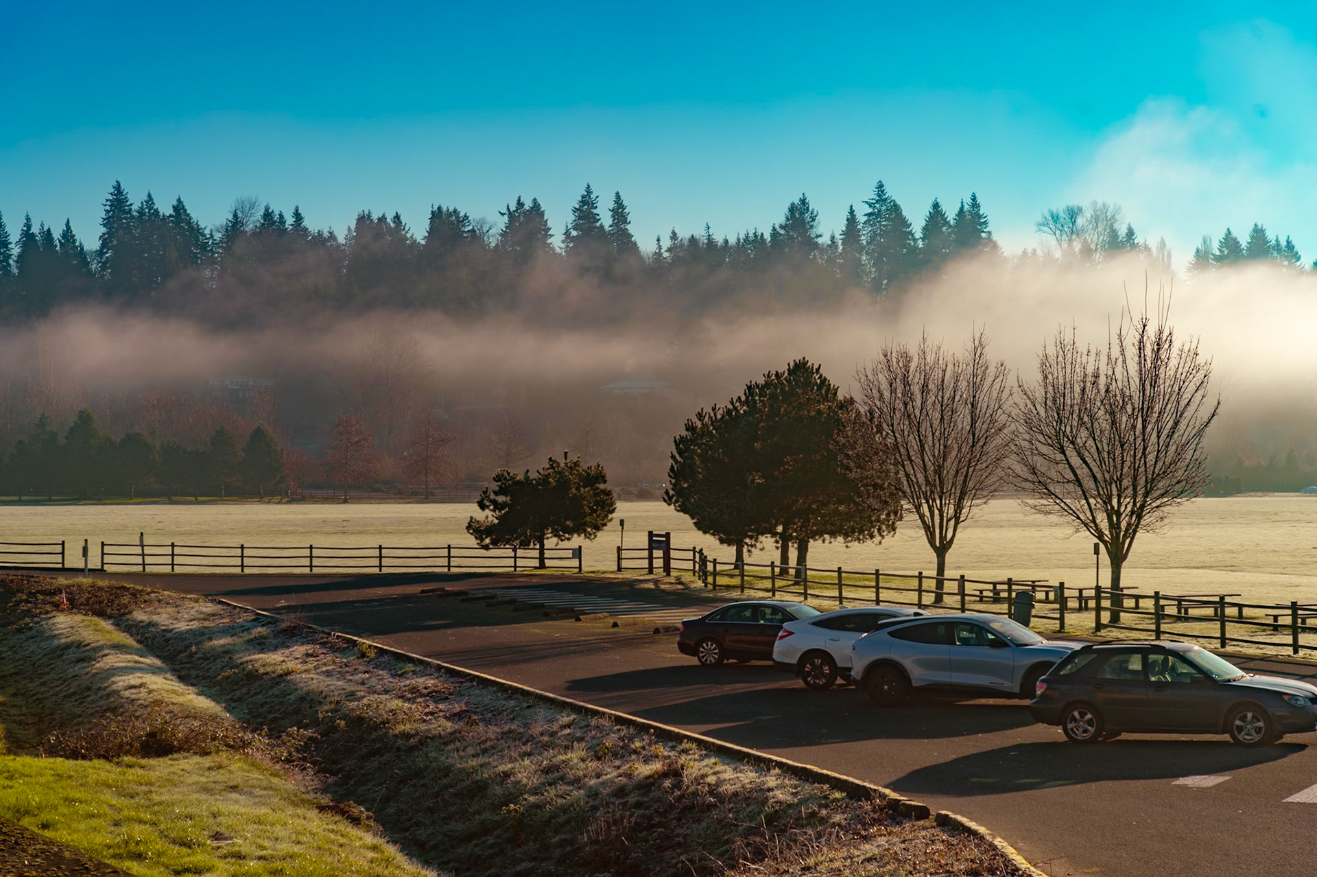 Fog at Sixty Acres