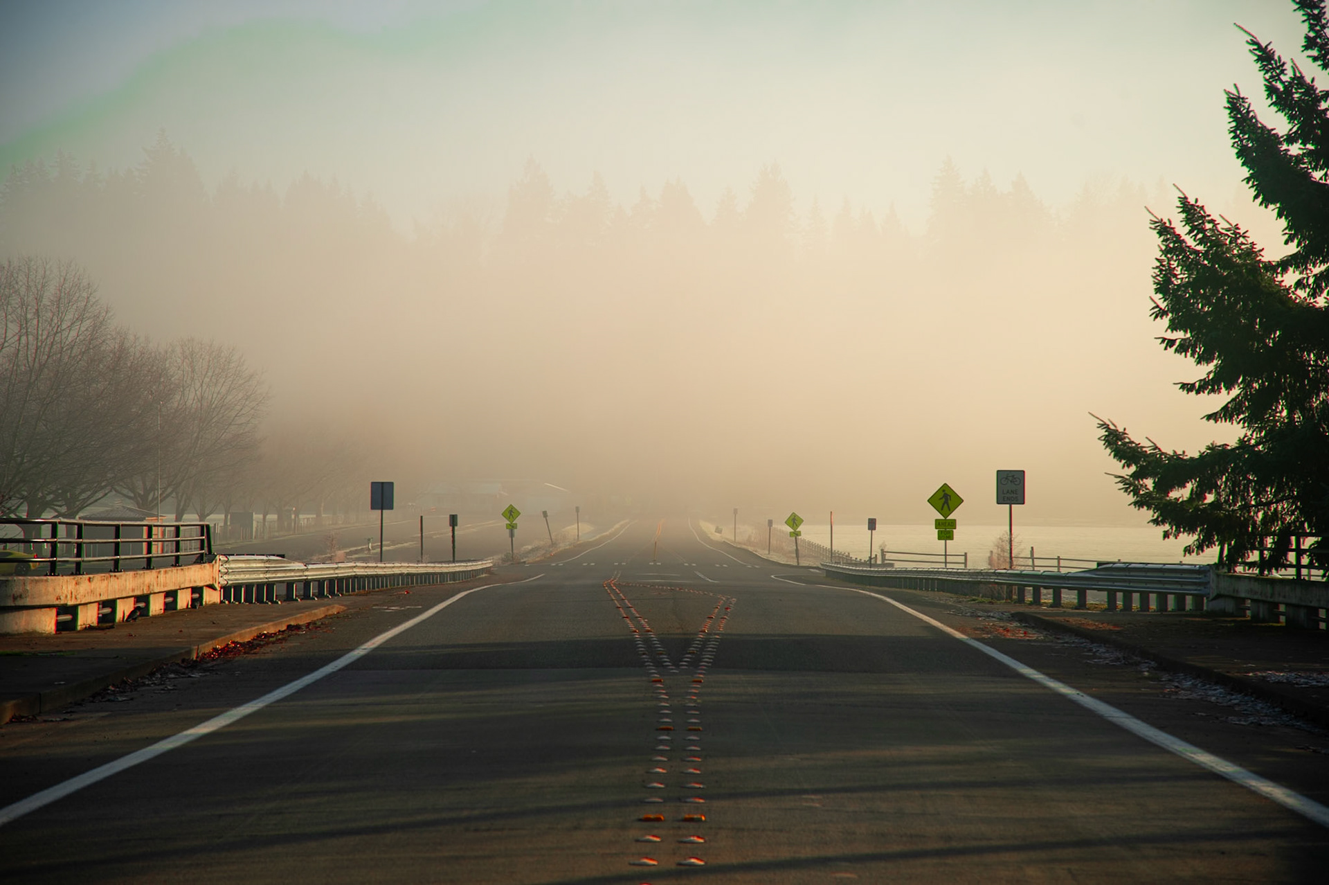 Fog at Sixty Acres