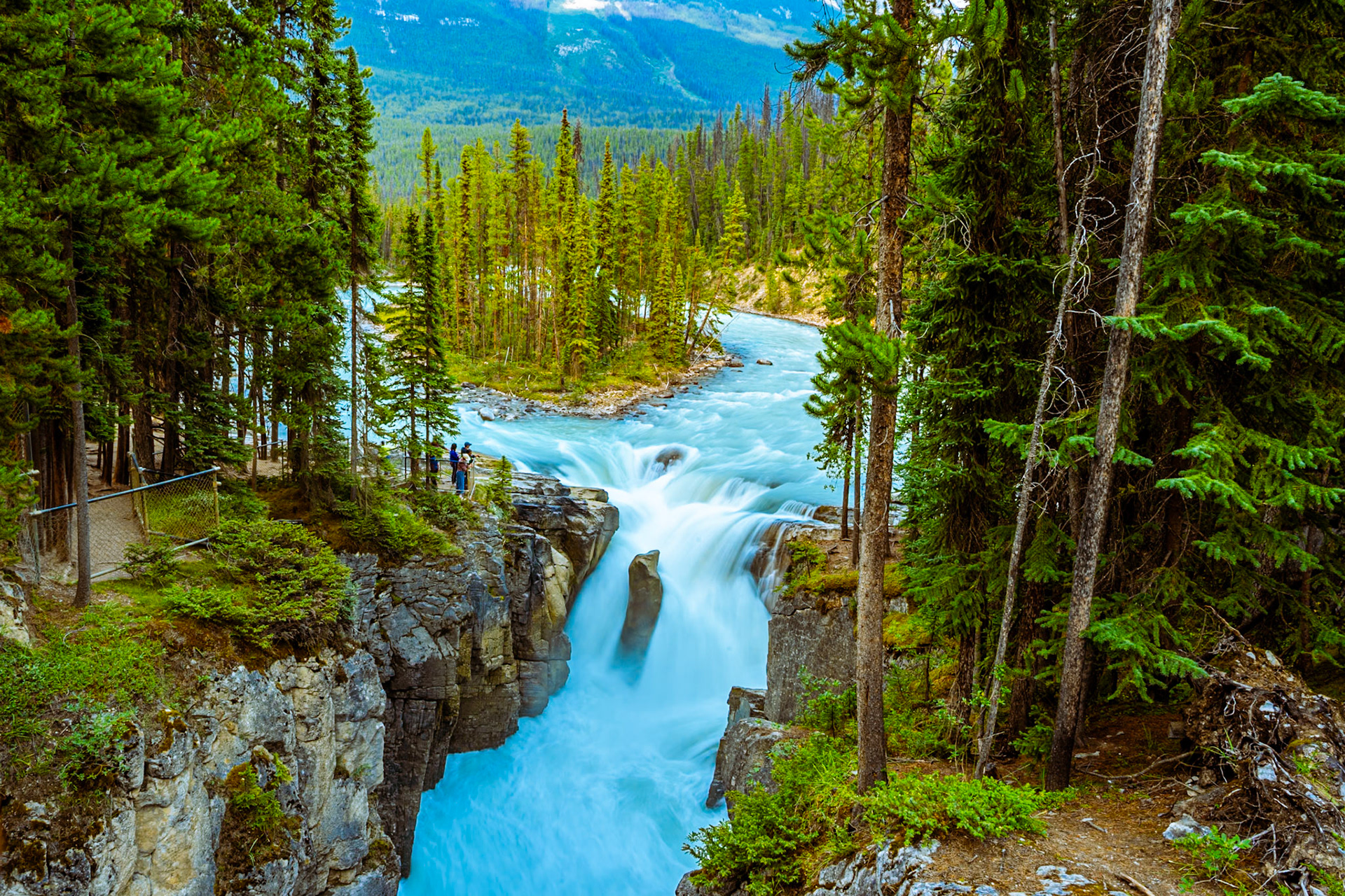 Sunwapta Falls