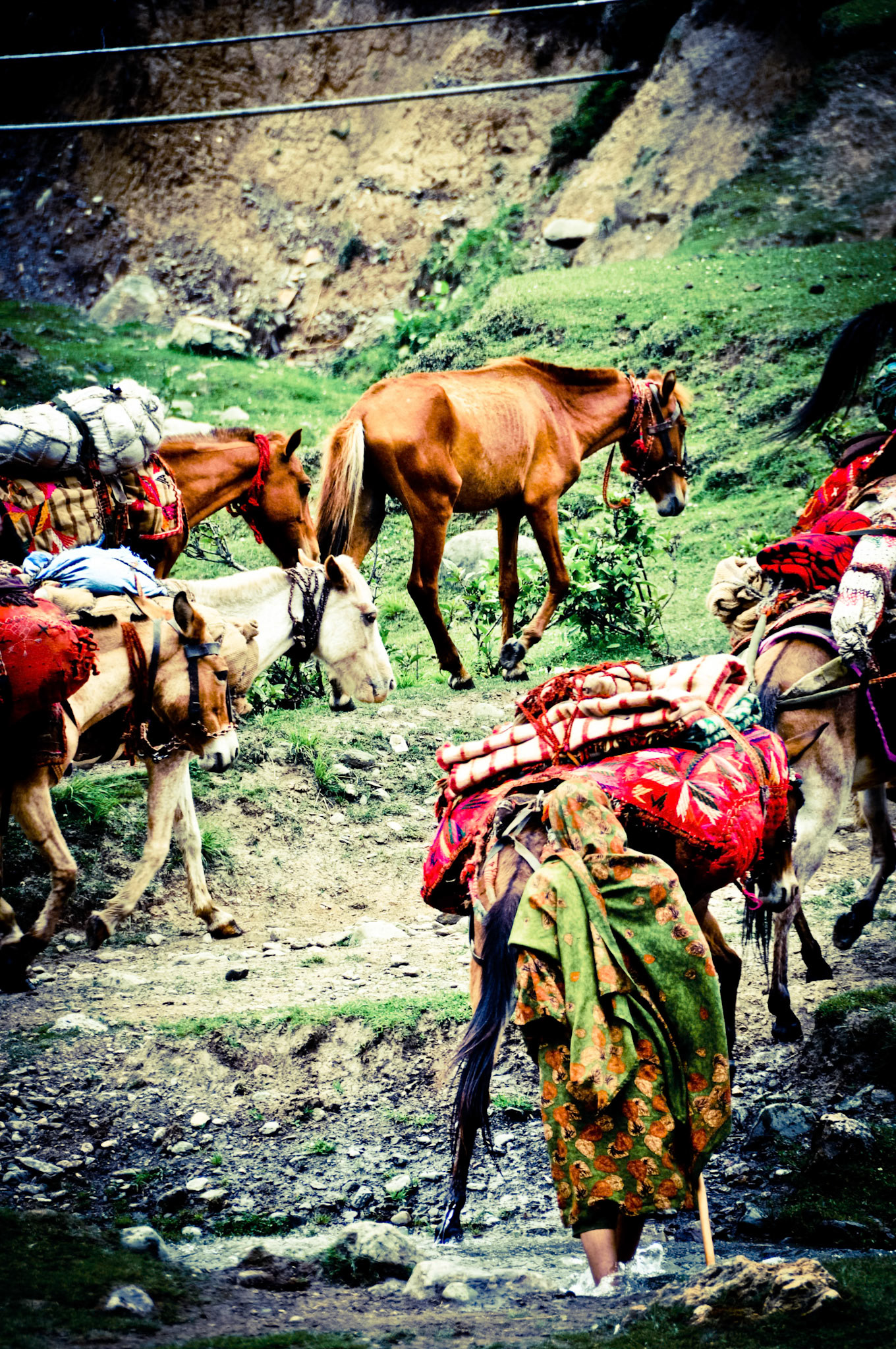Nomads