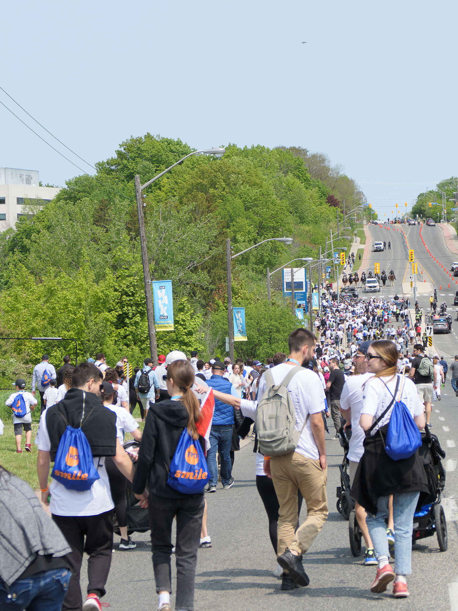 Walk with Israel | Light Post Flag