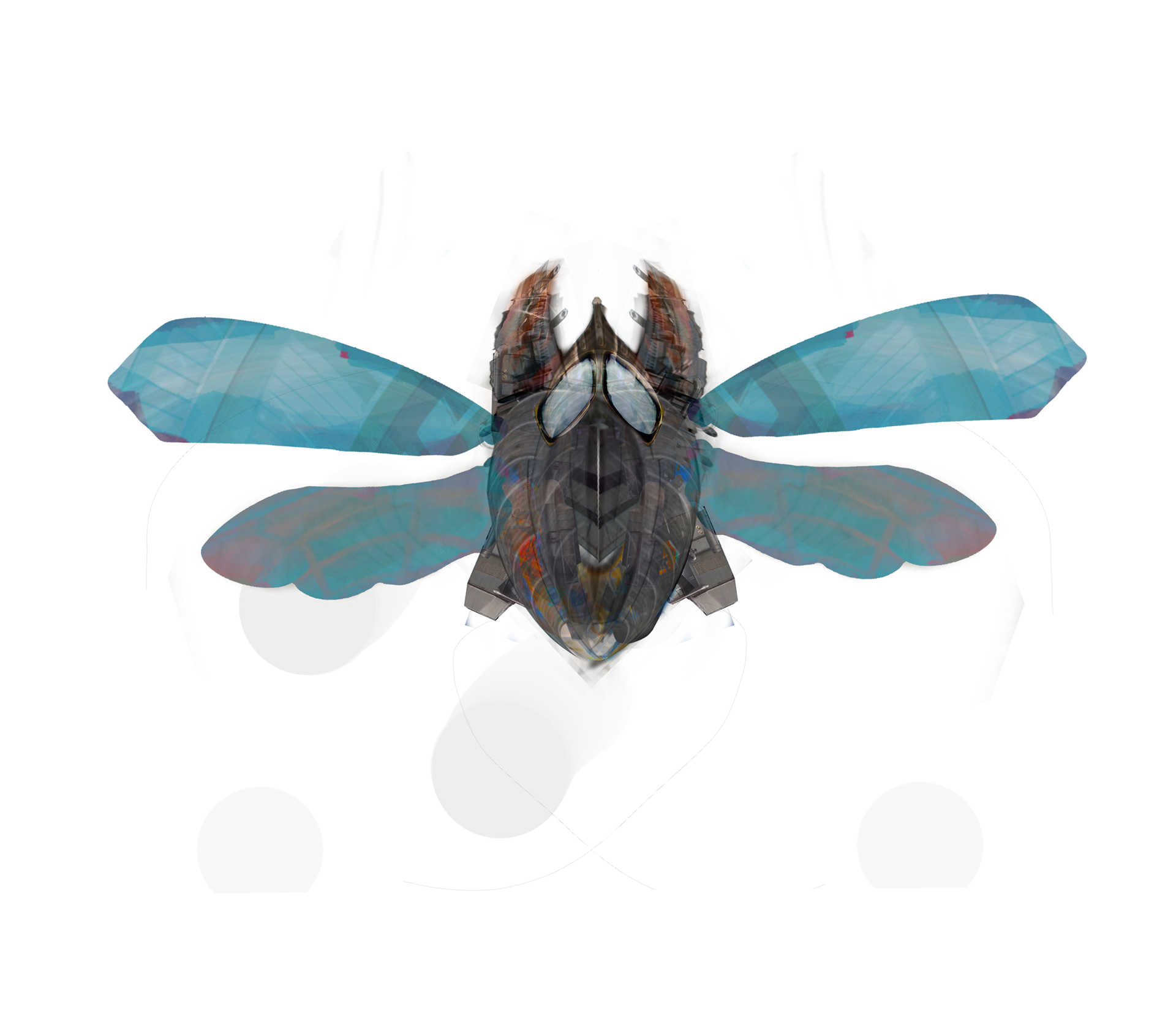 Insect ship concept