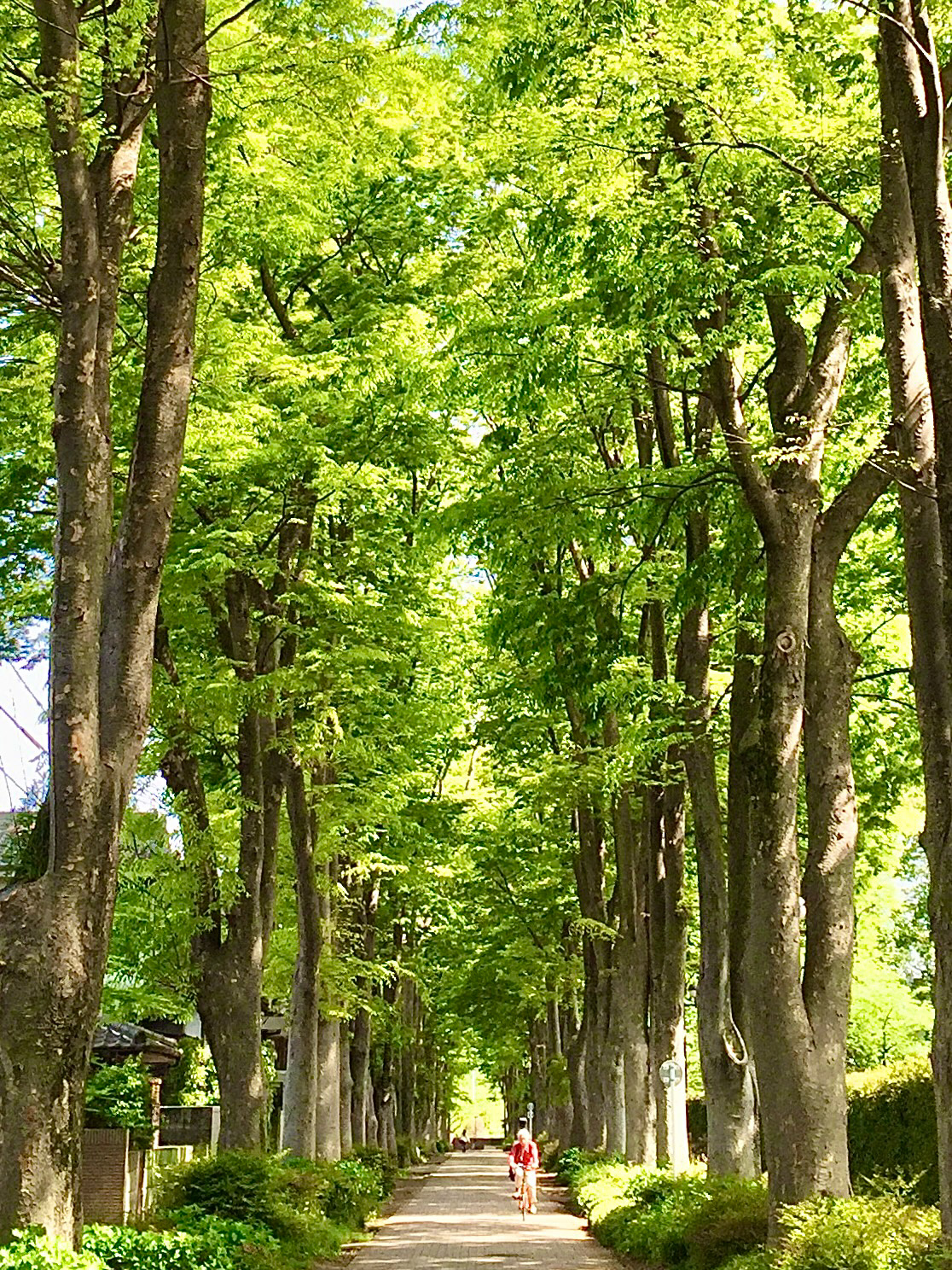 Musashino