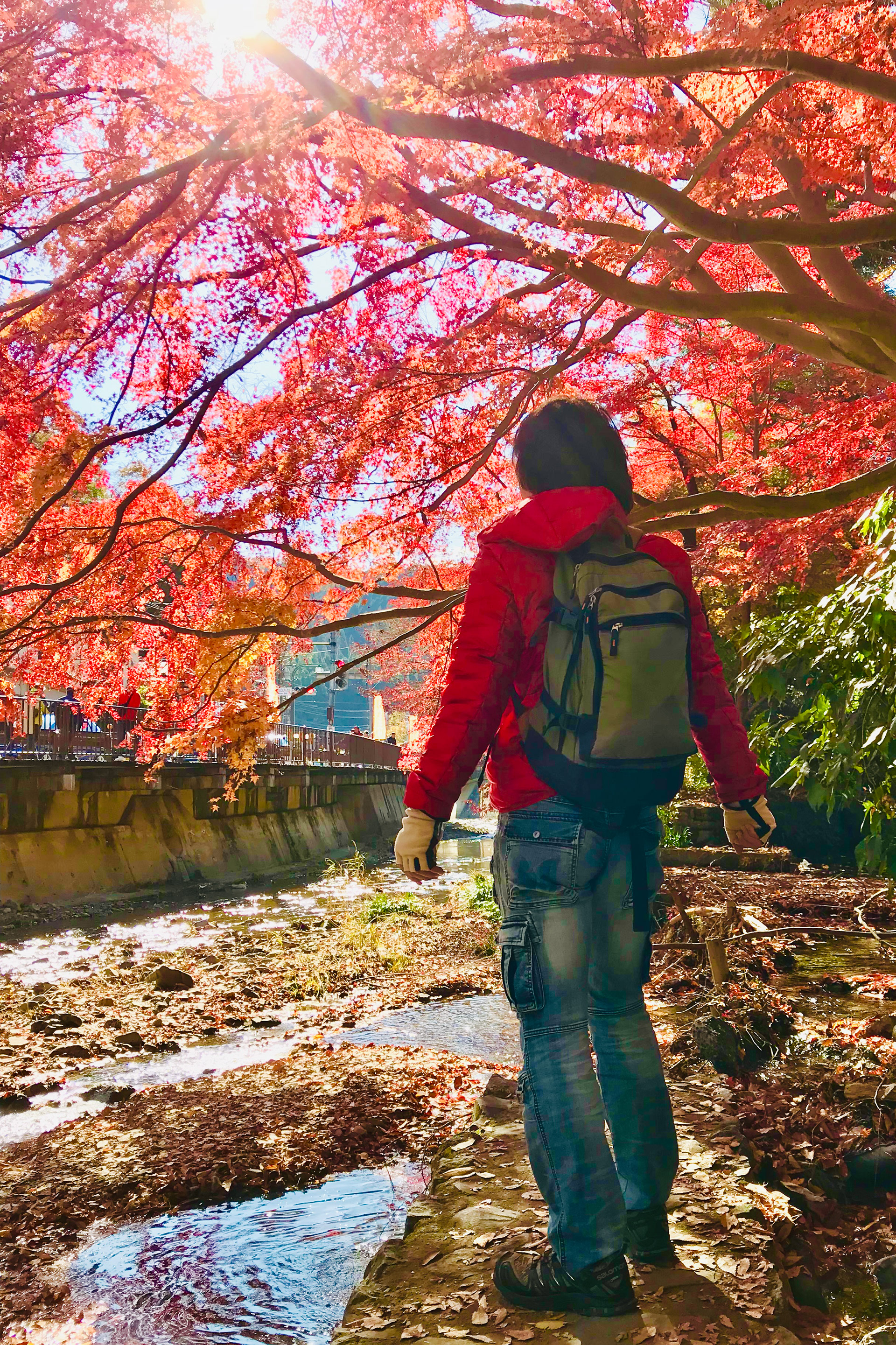 Mt. Takao