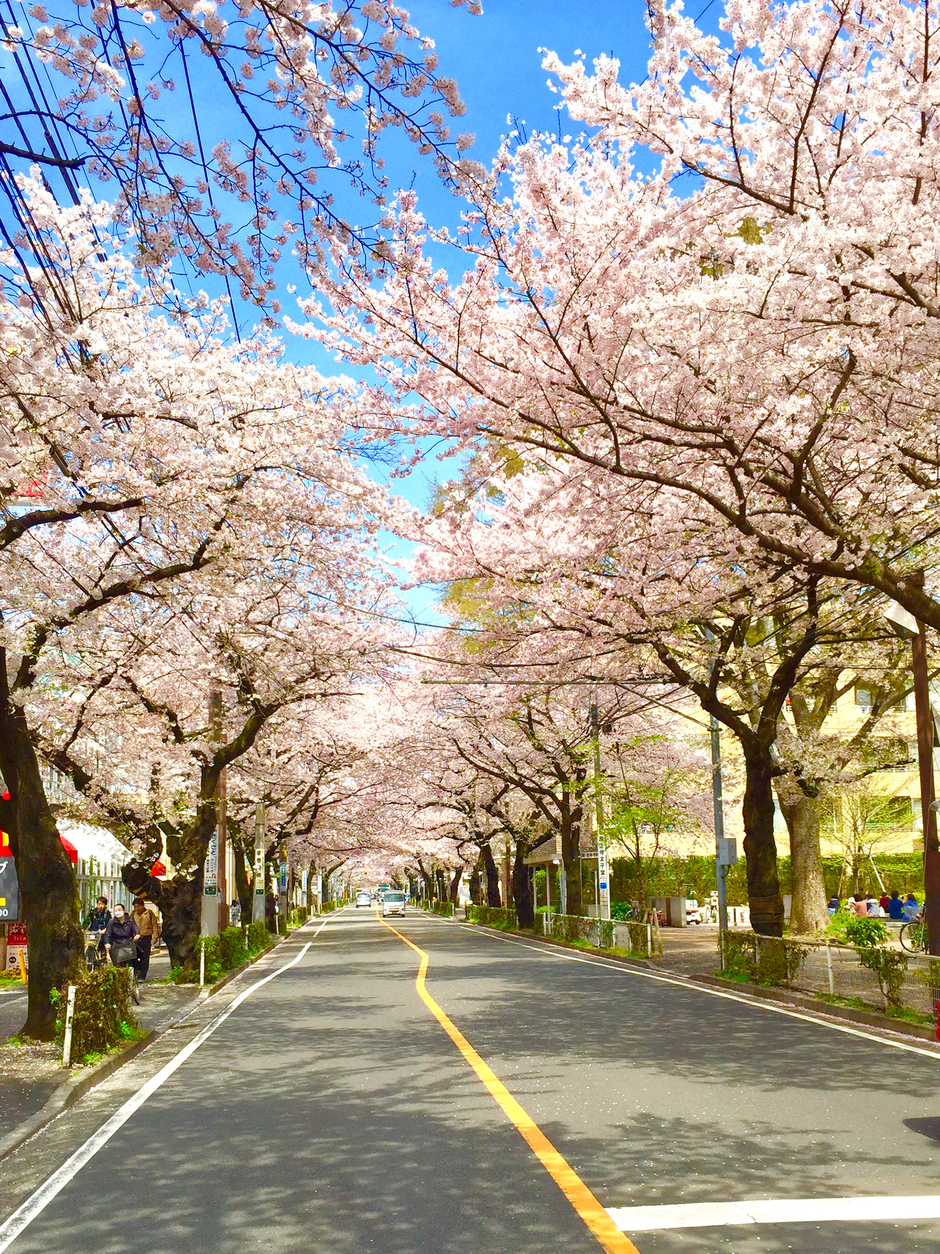 Musashino City