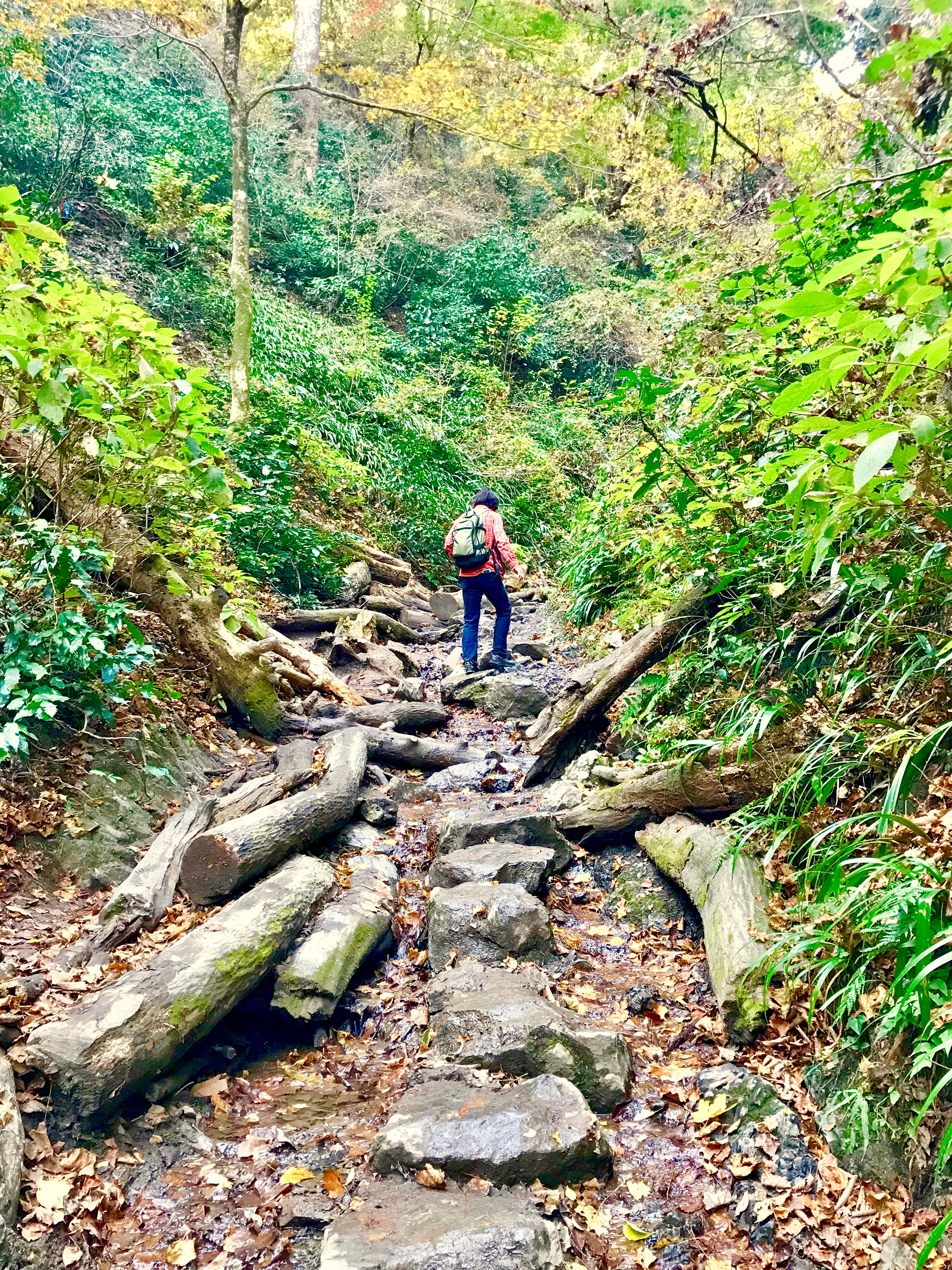 Mt. Takao