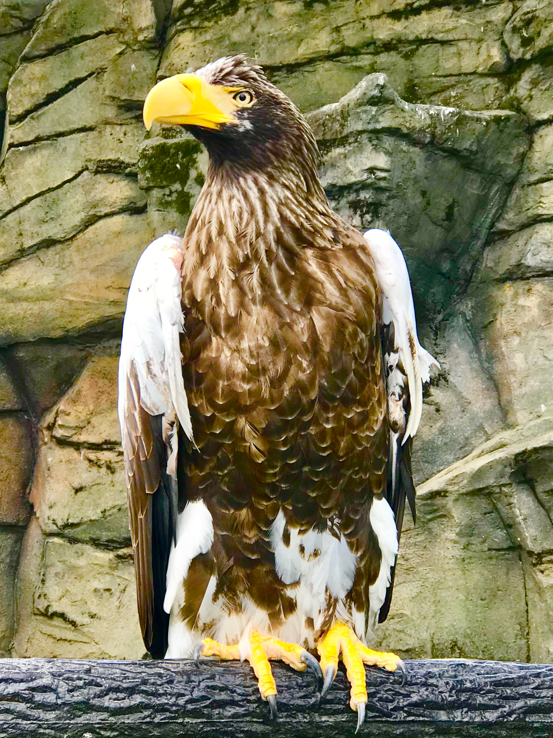 Tobu Zoo