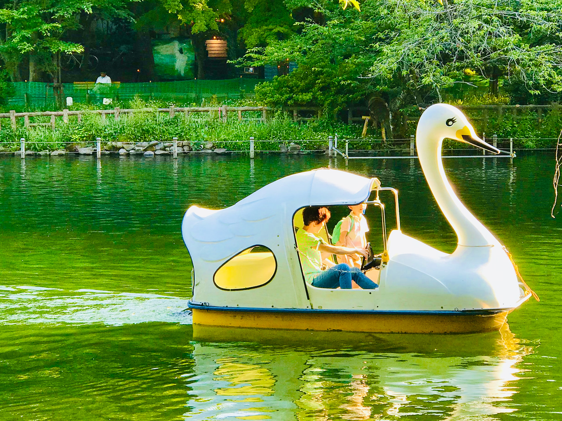 Inokashira Park