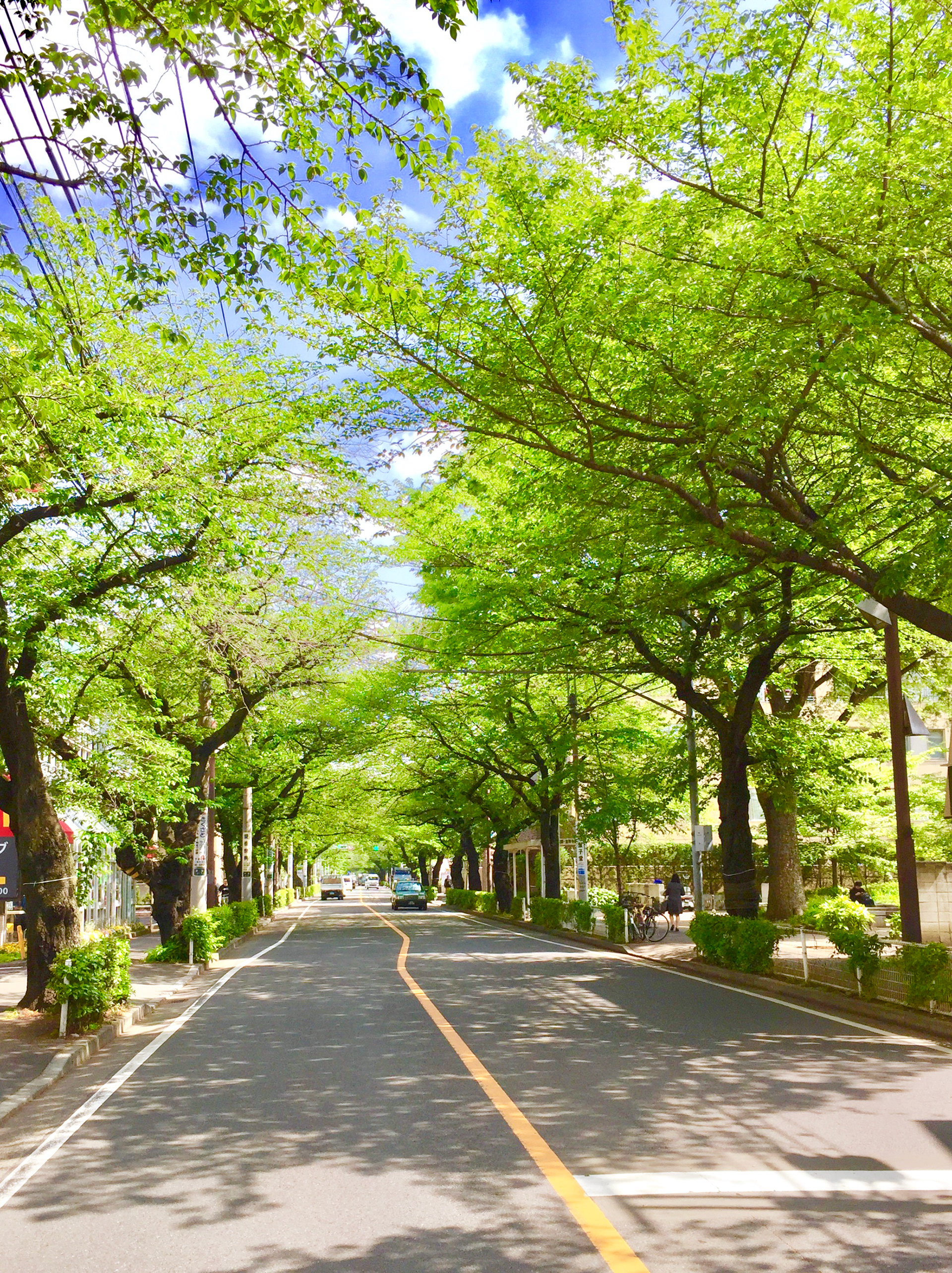 Musashino City