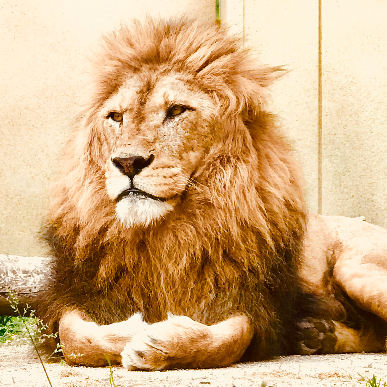 Tobu Zoo