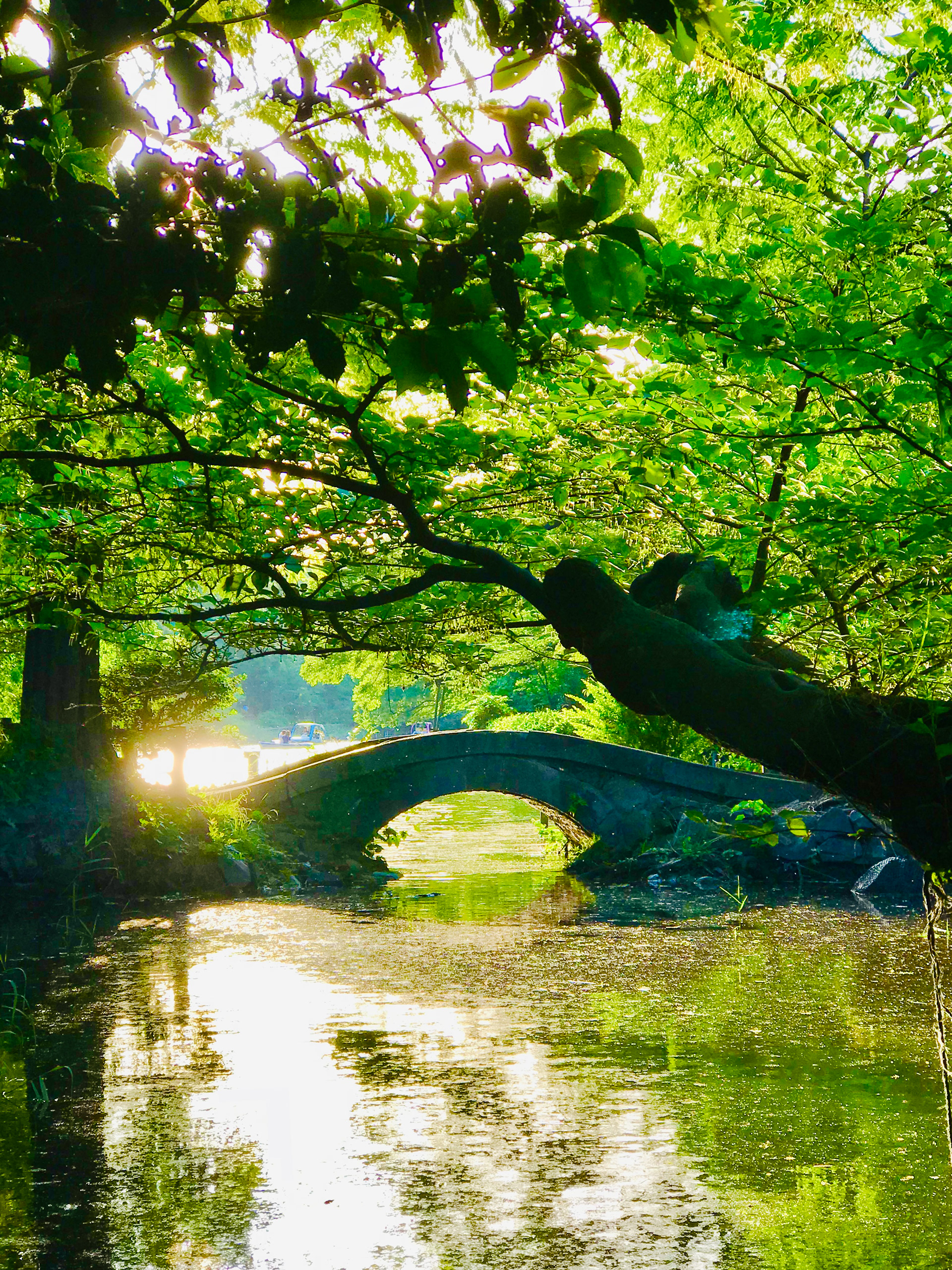 Inokashira Park