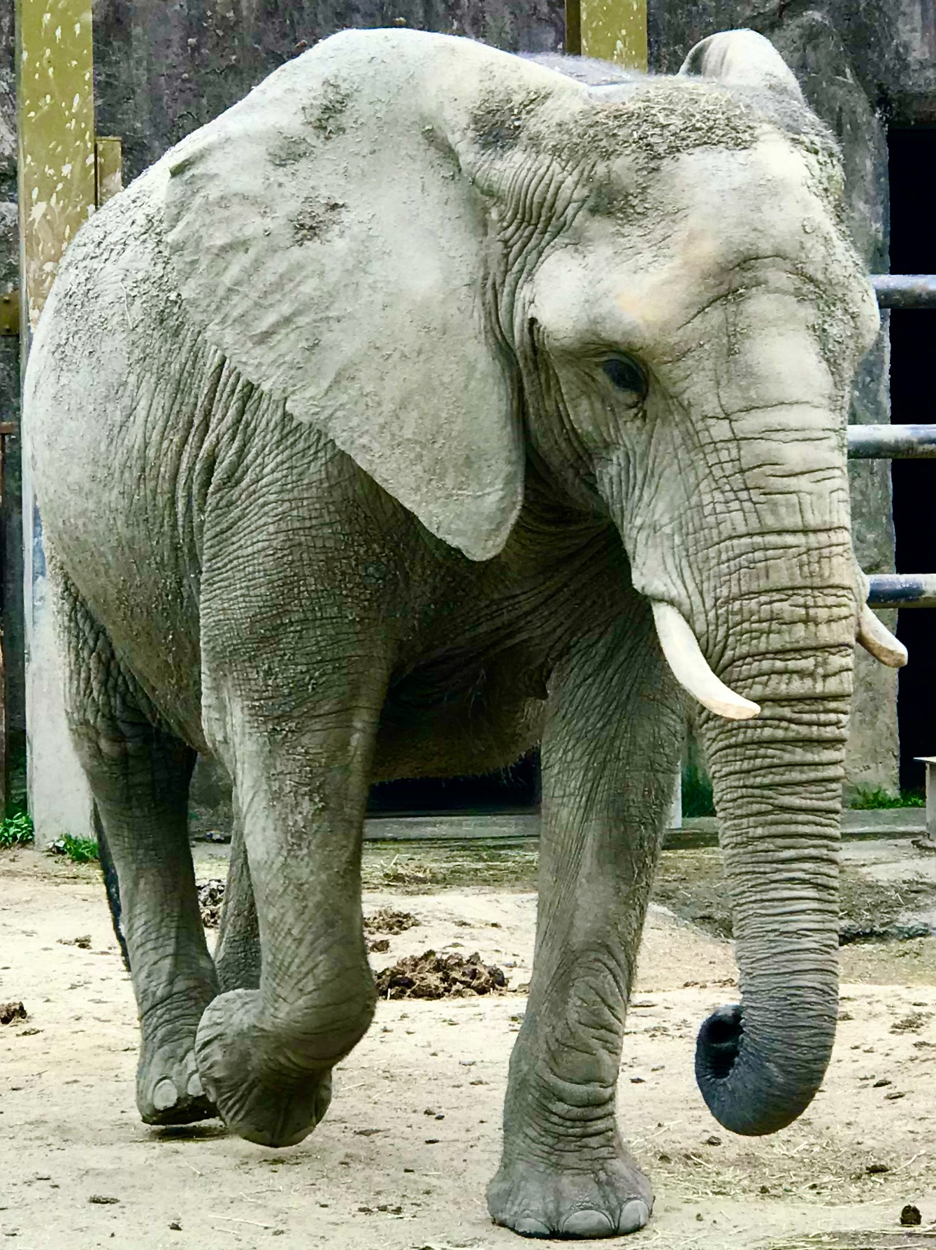 Tobu Zoo
