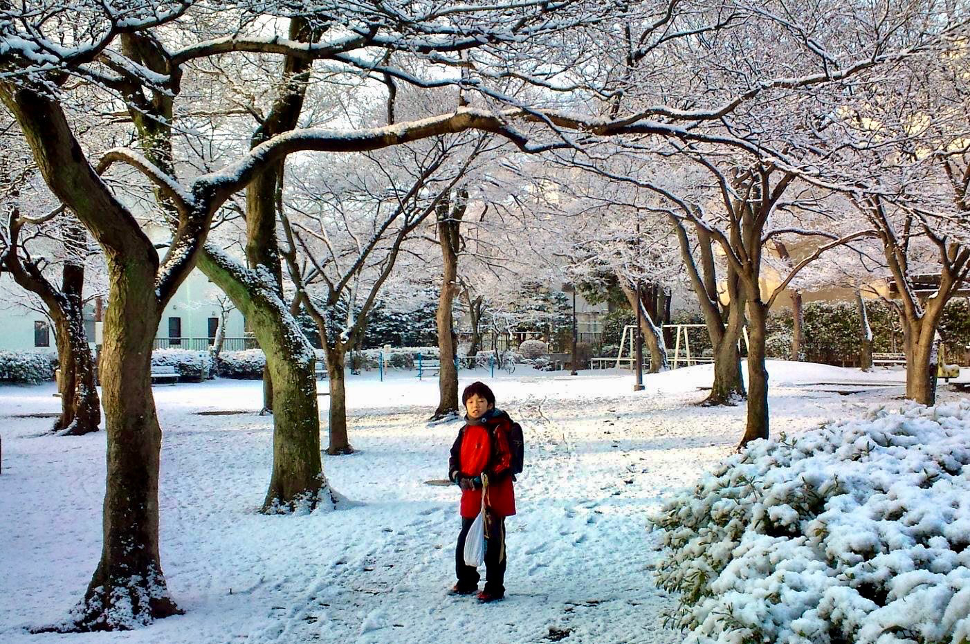 Snowy Morning