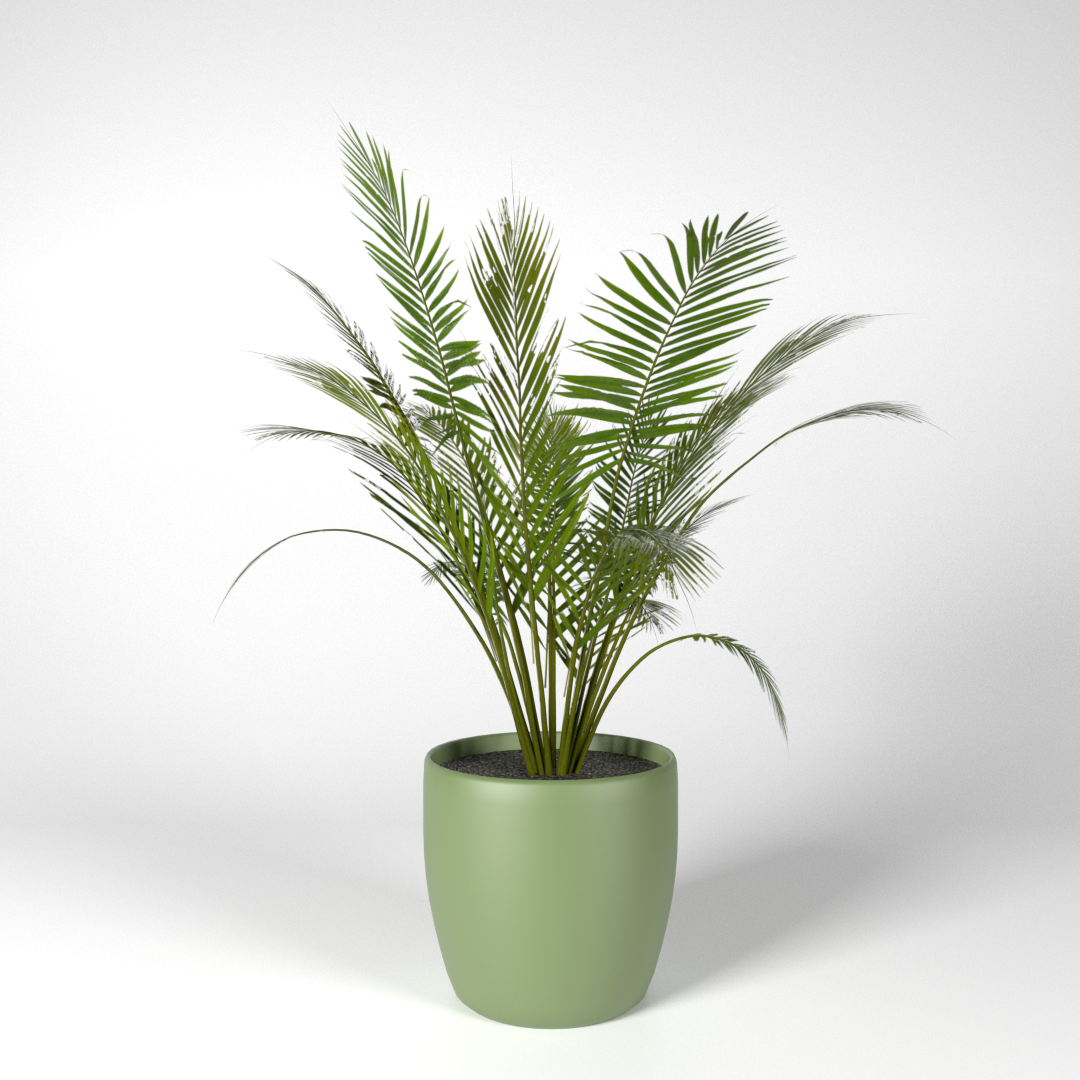 Day 19 - Pot Plants