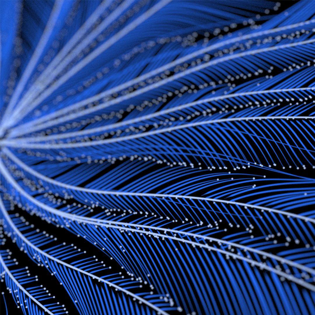 Day 10 - Abstract Growth