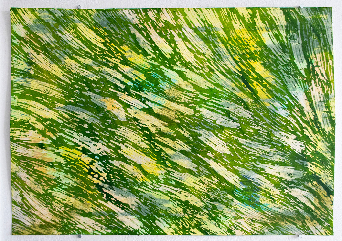 Blackheath Grasses, 2021, 29.7 x 42cm