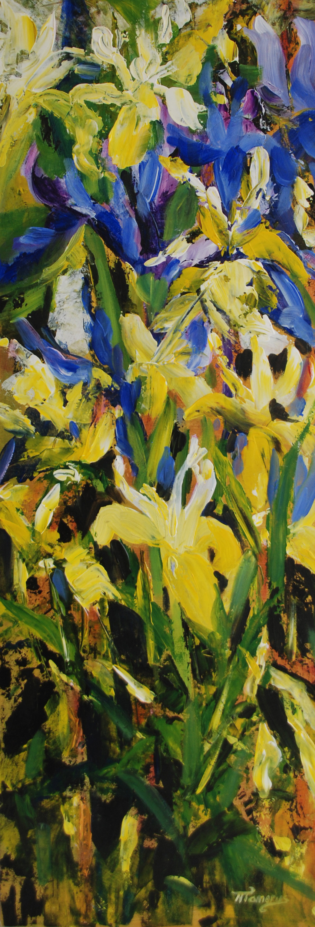 irissen, 90x32cm