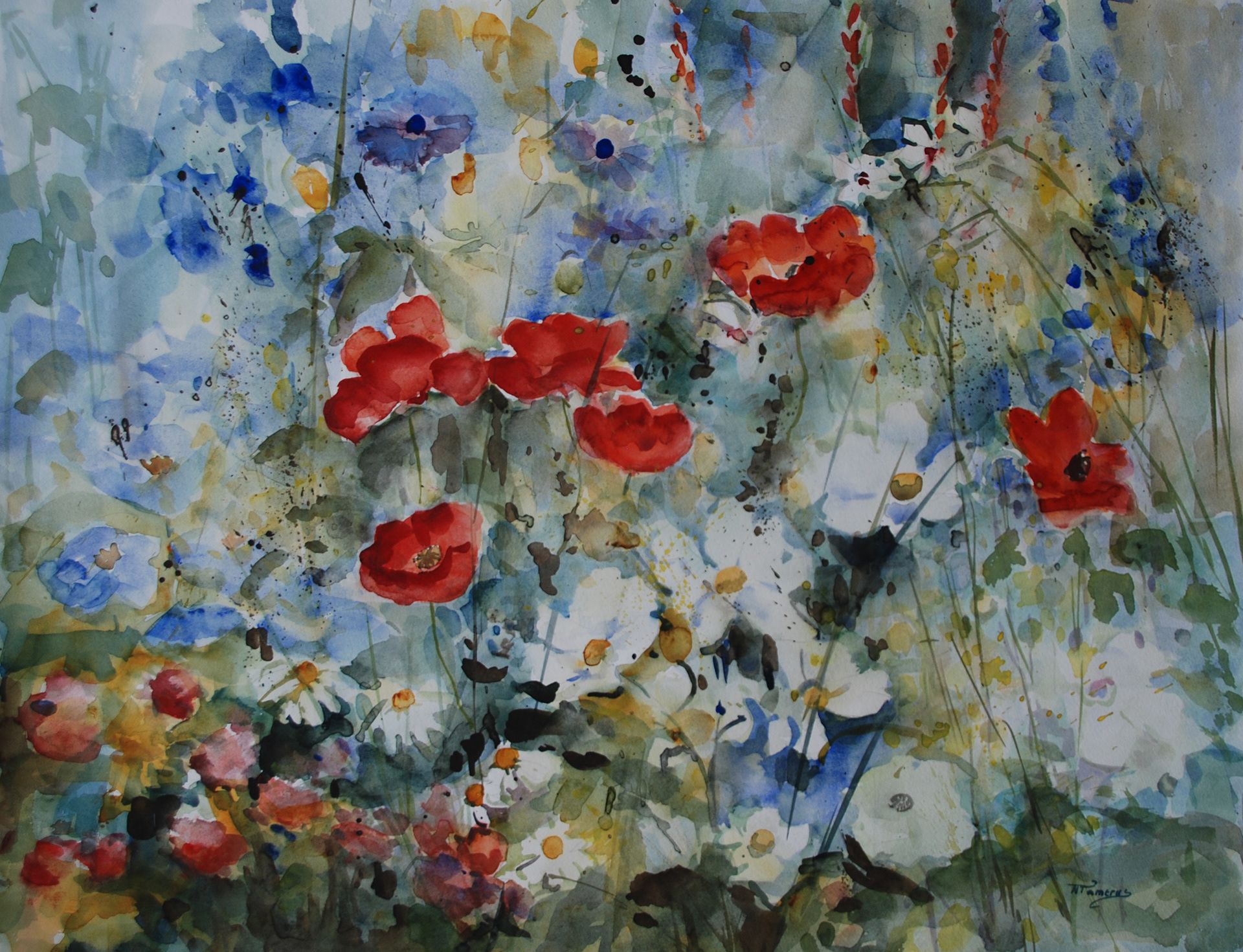 veldbloemen met klaprozen