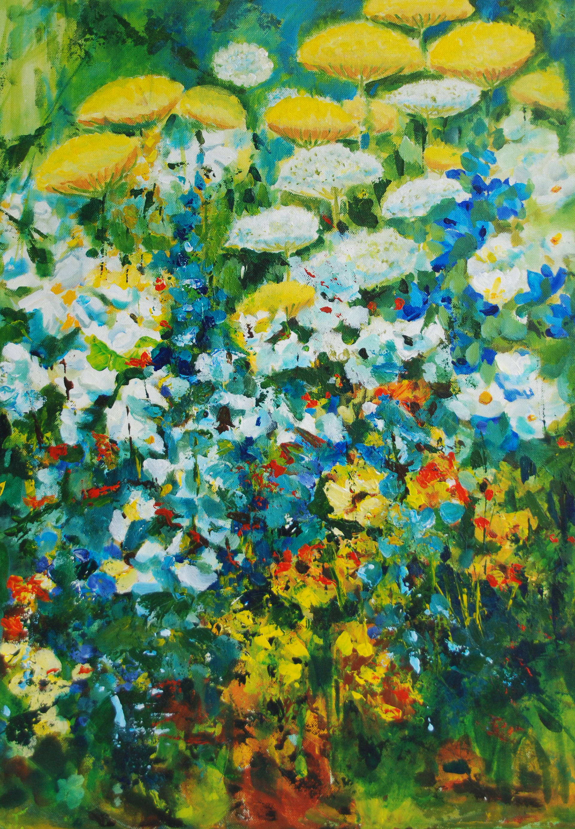 boerenwormkruid, 50x70cm