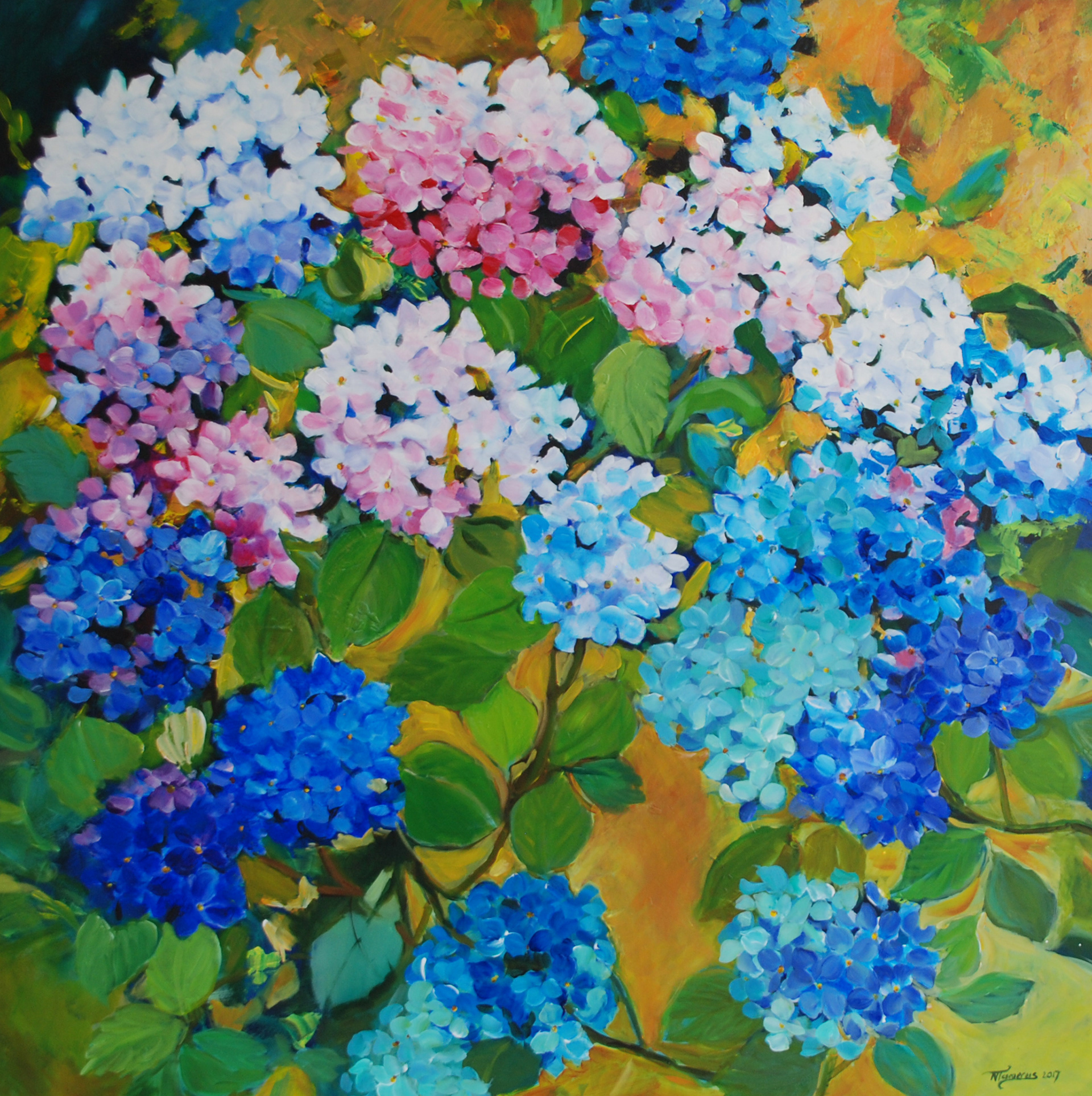 hortensia, 100x100cm