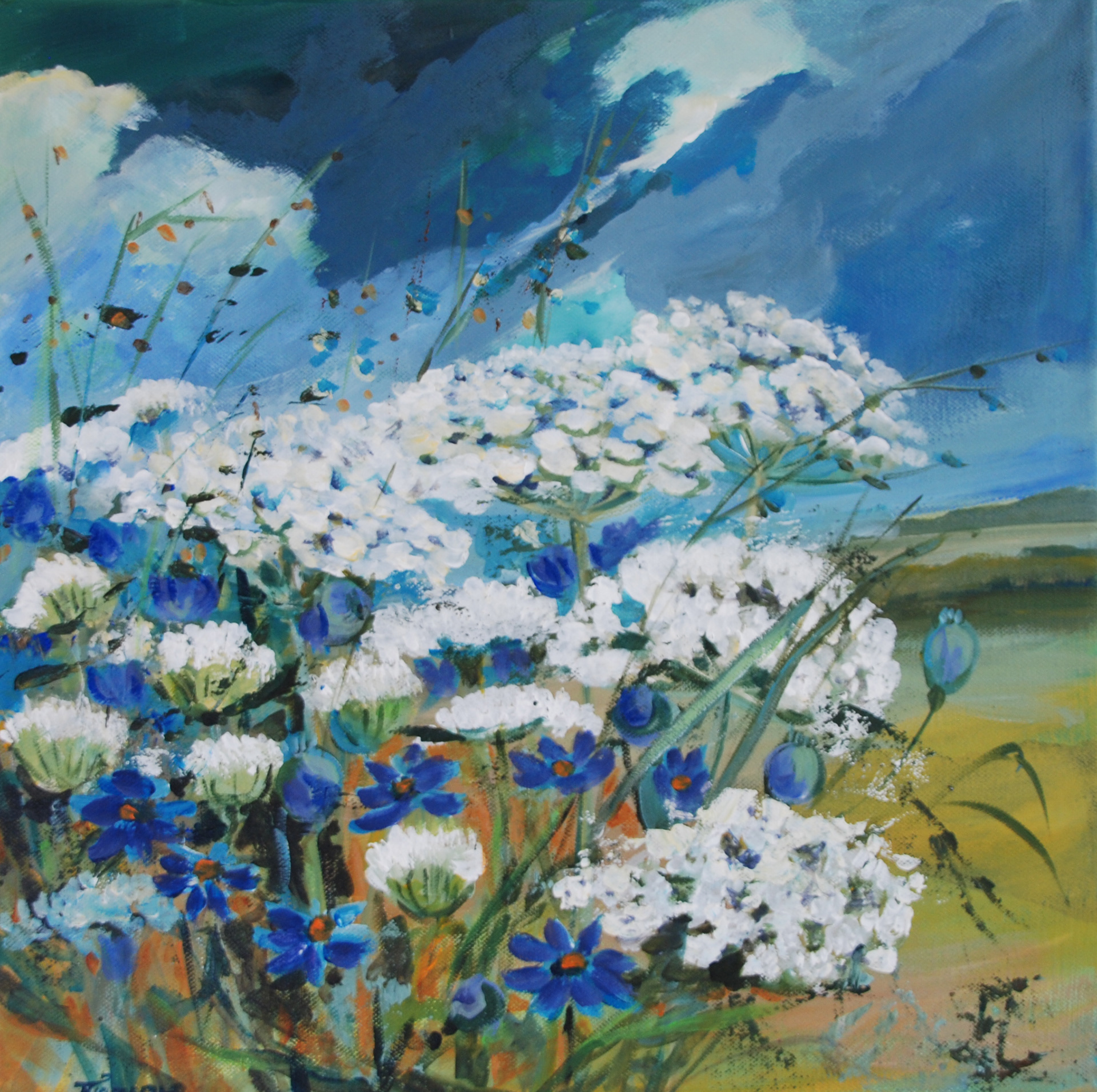 fluitekruid in de duinen