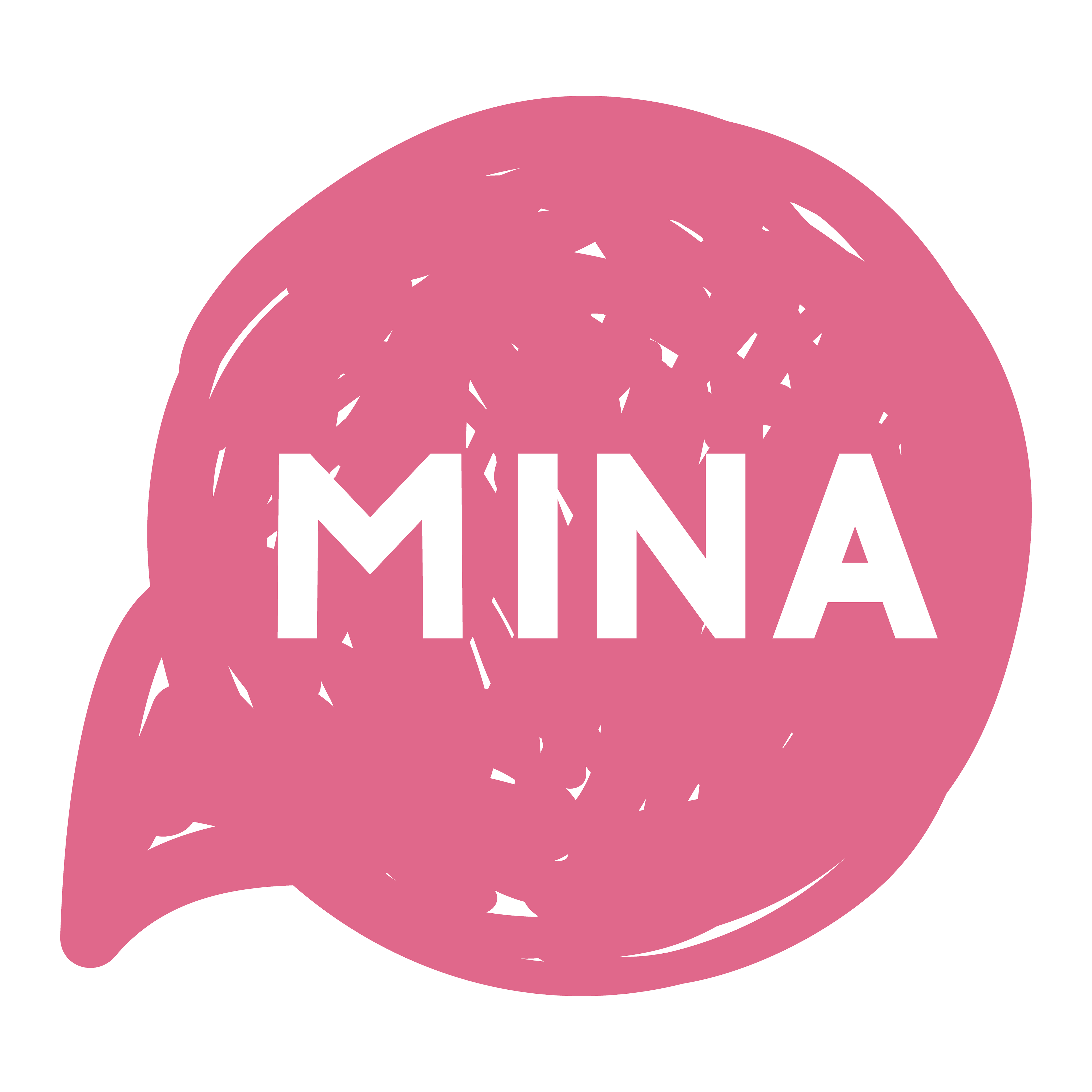 M I N A