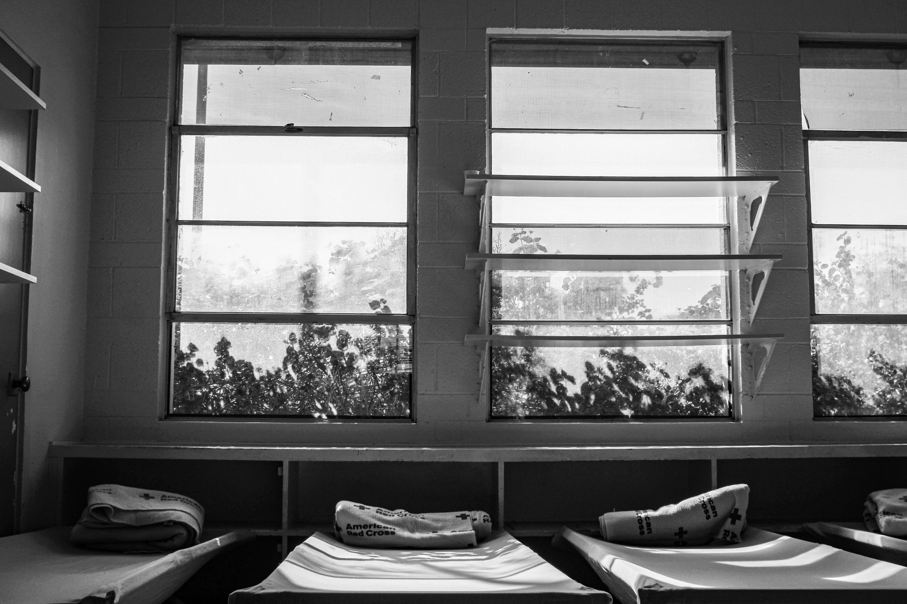 Shelter cont.