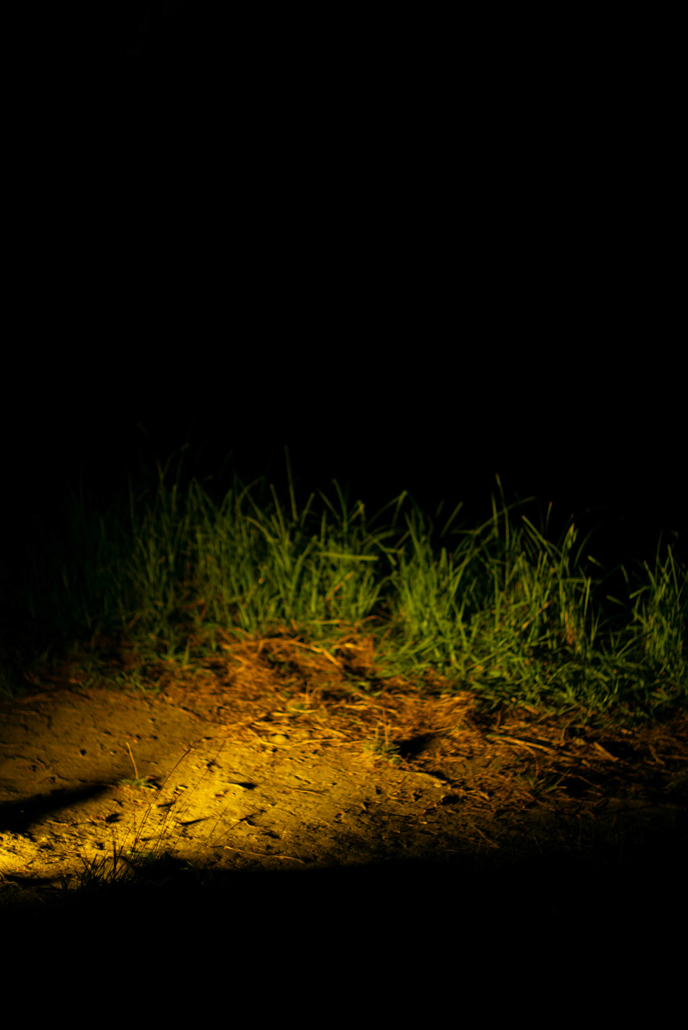la nuit est tombée