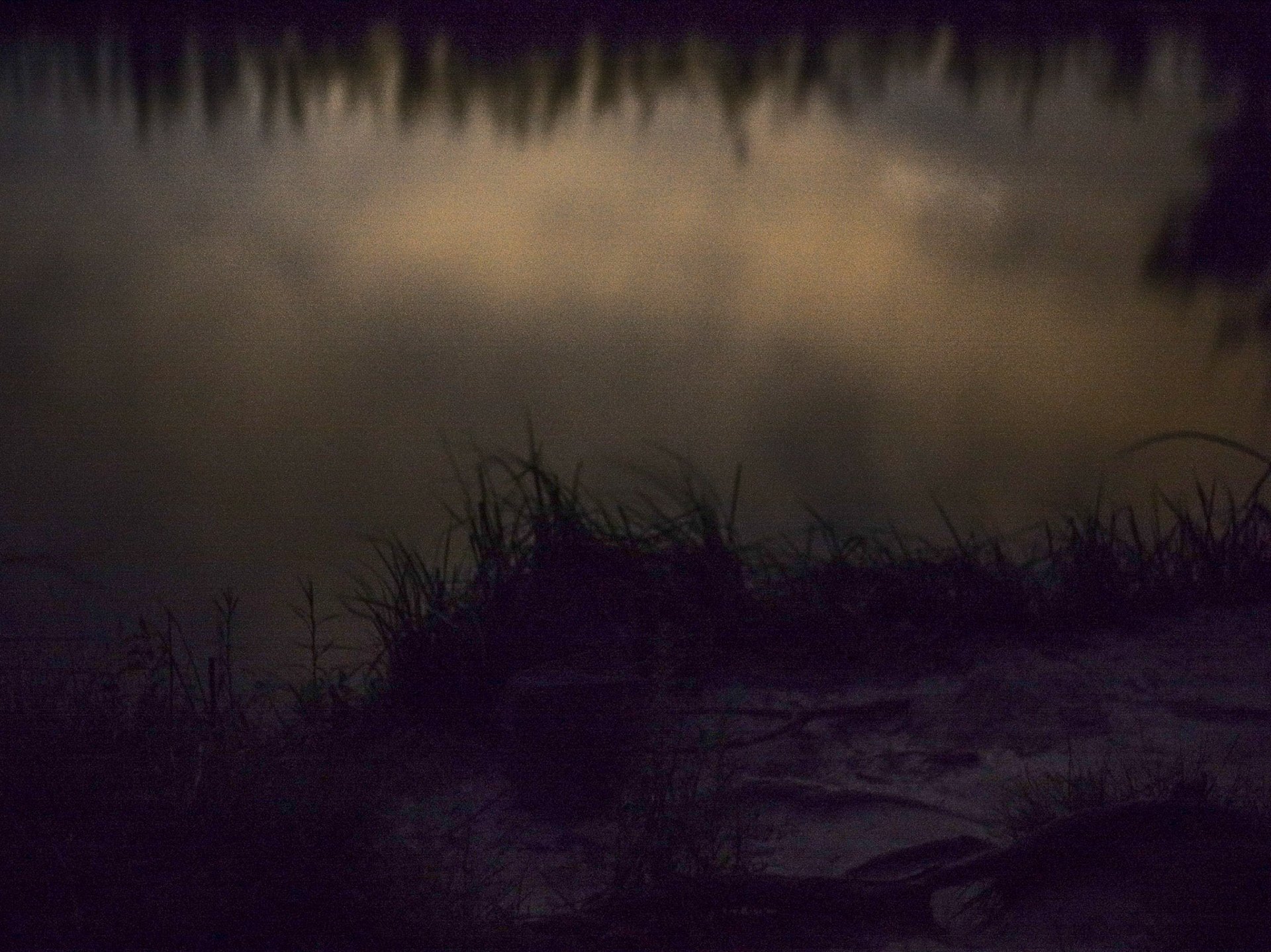 pleine nuit