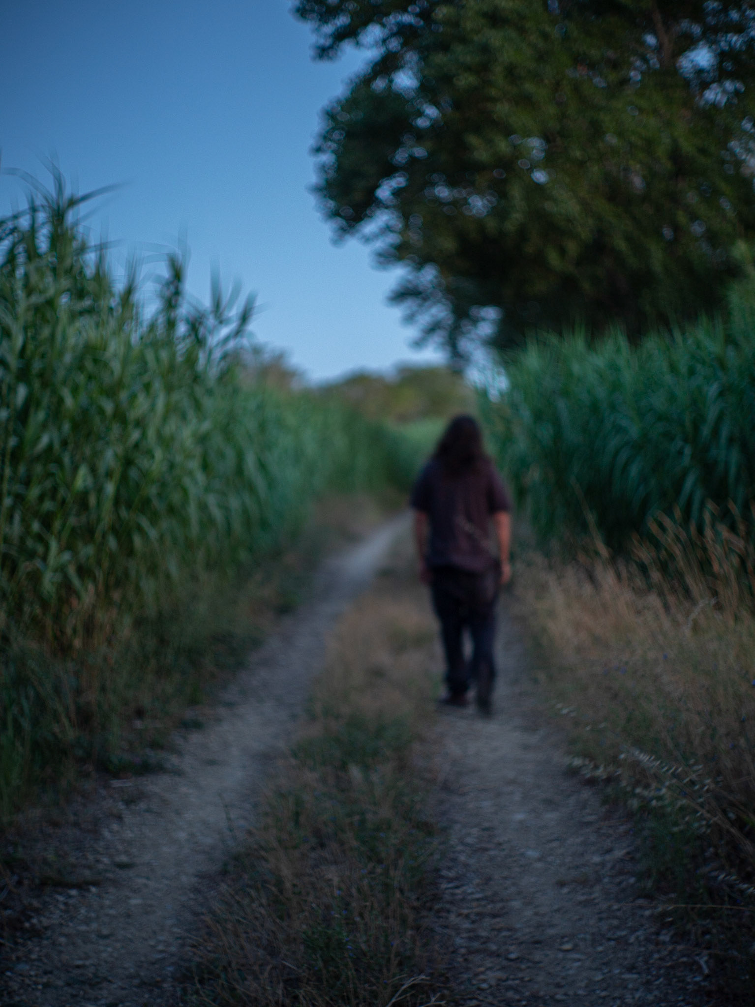 un chemin vers