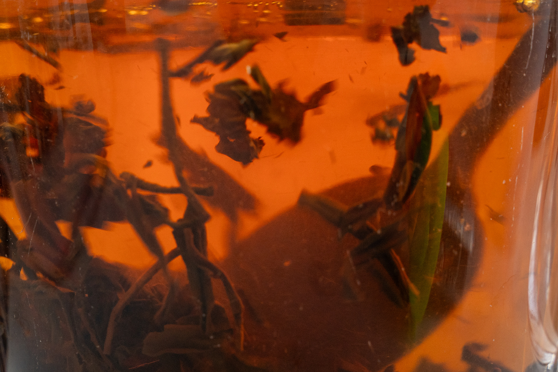 Tata pił gorzką, czarną, fusiastą herbatę. Pamiętam jej gorzki smak. I intensywny zapach...