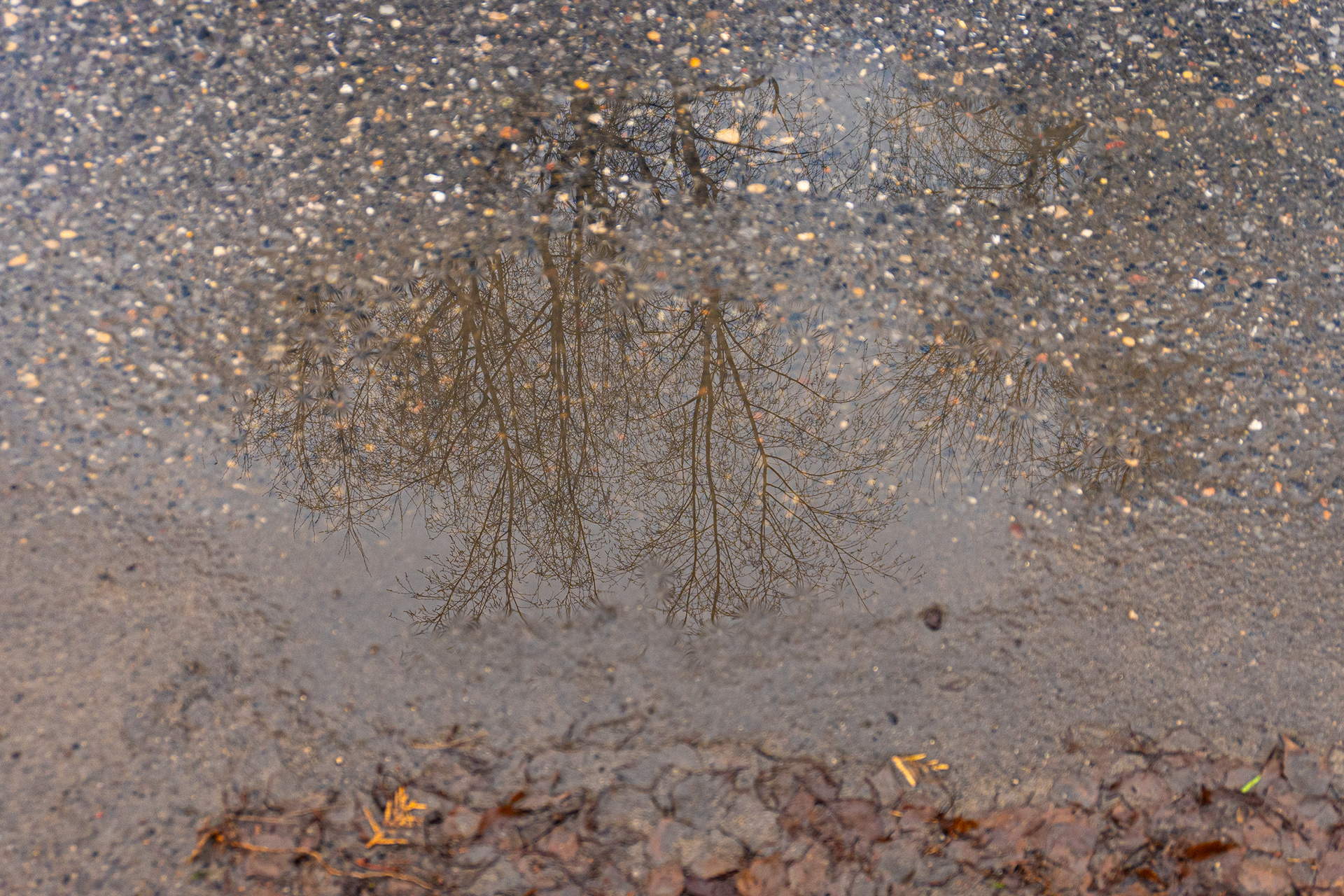 Gdy byłam mała po każdym deszczu przed naszym blokiem tworzyły się kałuże. Czasem mniejsze, o asfalt był stary i bardzo dziurawy. Ale przy większej ulewie taka kałuża ciągnęła się niemalże wzdłuż połowy bloku.  Tat wtedy mówił, że nasz maluszek - Fiat 126p - to amfibia.