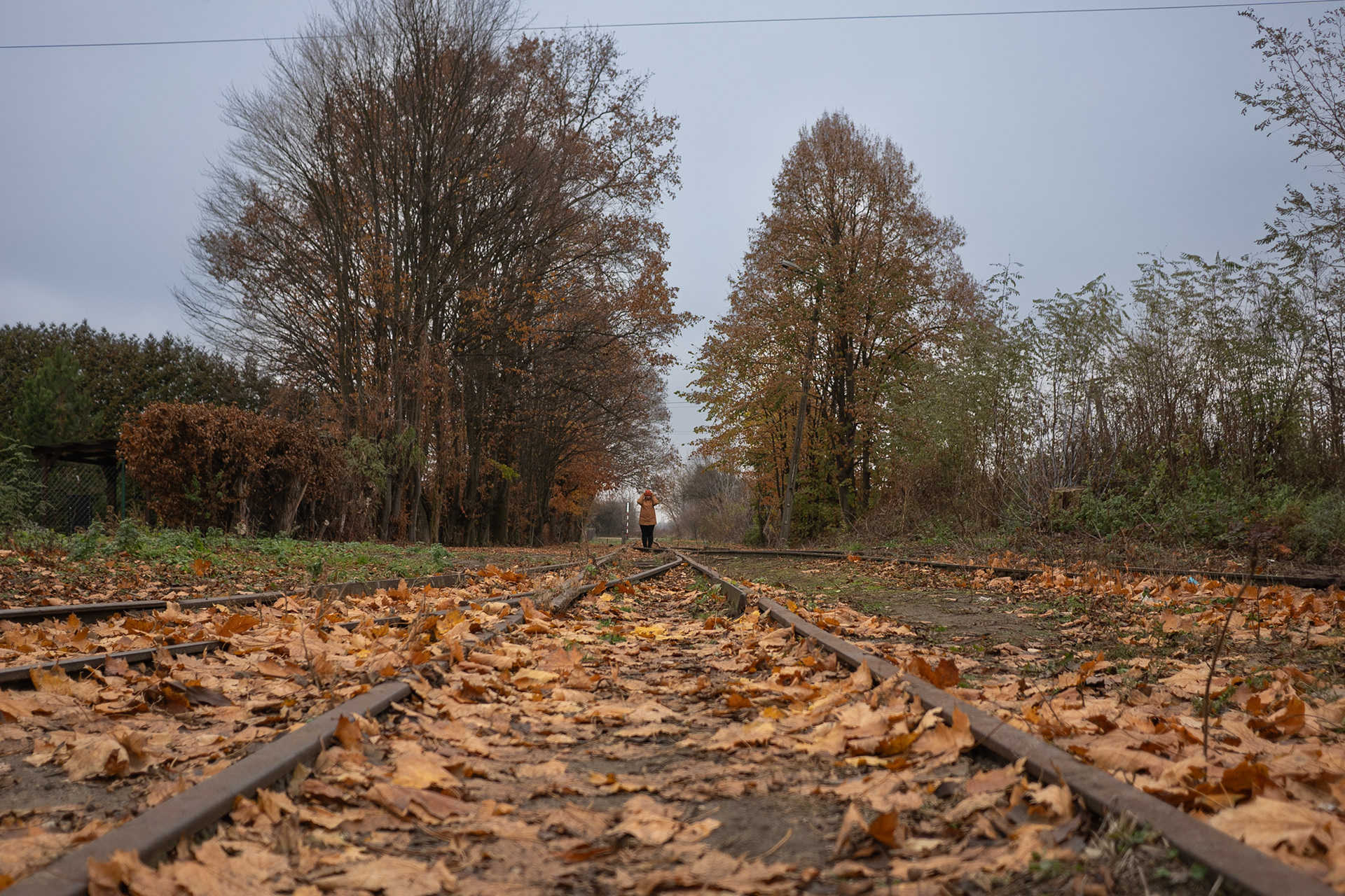 Babcia miała działkę, na której często spędzaliśmy cały dzień. Dorośli pracowali - przekopywali ziemię, siali,  sadzili, zbierali plony. My dzieciaki hasaliśmy gzie chcieliśmy. Pod koniec dnia tata brał Pirata - psa mojej babci - na smycz i robiliśmy sobie spacer do torów, bo zawsze popołudniami jechała tamtędy kolejka wąskotorowa. Kolejarz zawsze gwizdał na nasz widok.