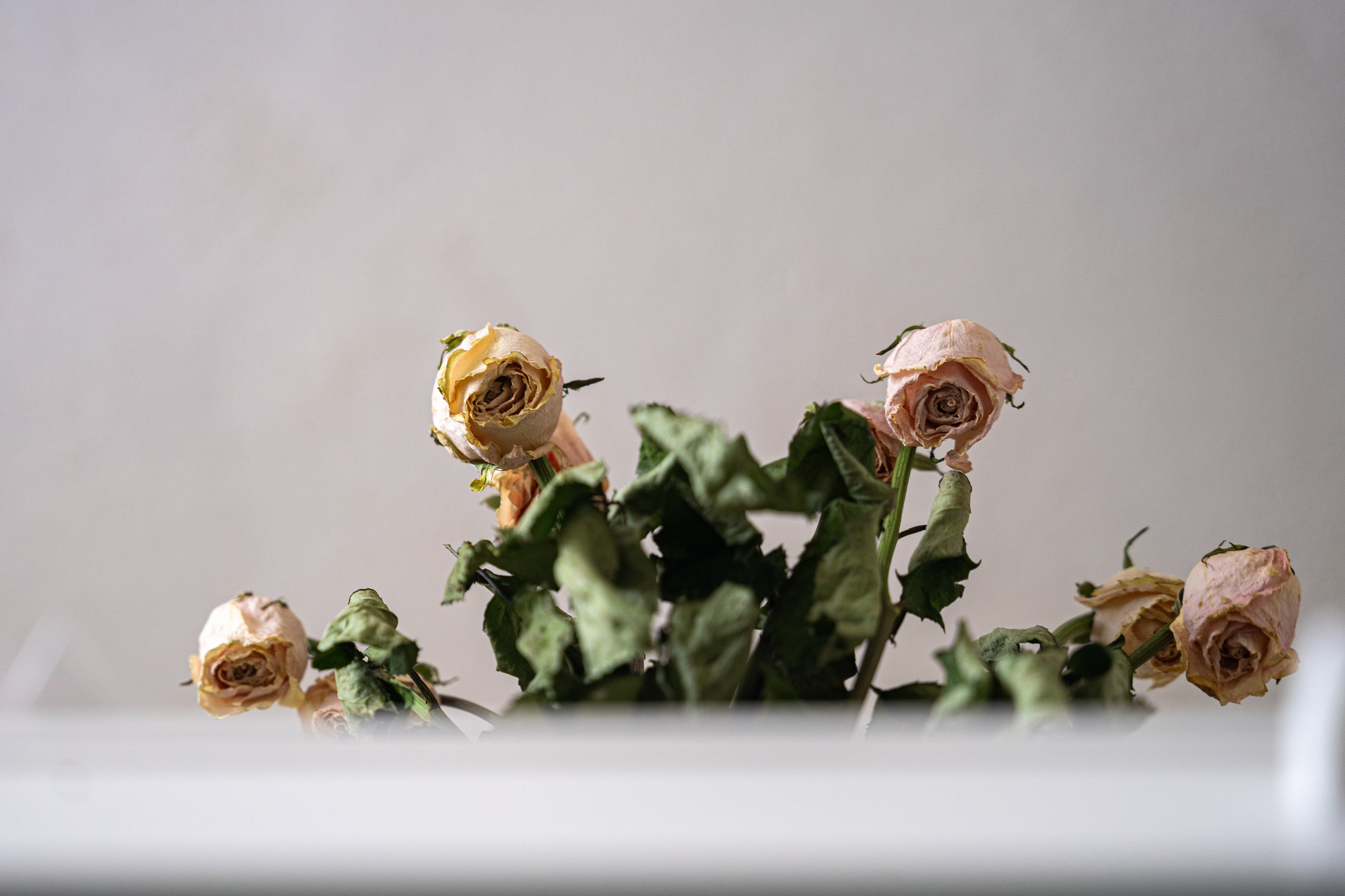 Na każdą okazję i bez okazji tata przynosił mamie kwiaty.