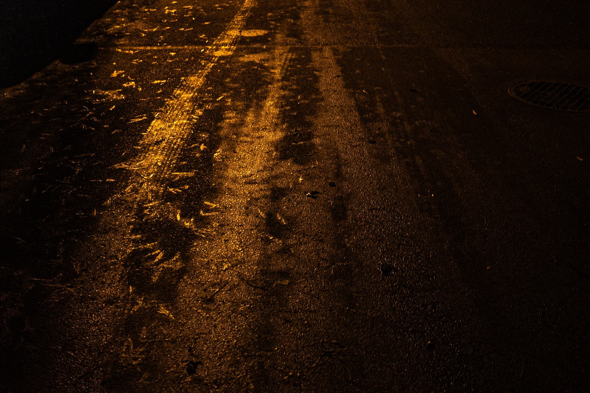 Gdy byłam dzieckiem, wszystkie imprezy rodzinne spędzaliśmy w domu mojej babci. Chodziliśmy najczęściej jeszcze przed śniadaniem. I wracaliśmy po kolacji. Wracając było bardzo ciemno. Tylko latarnie lekko oświetlały drogę. A ja zazwyczaj szłam za rękę z tatą.