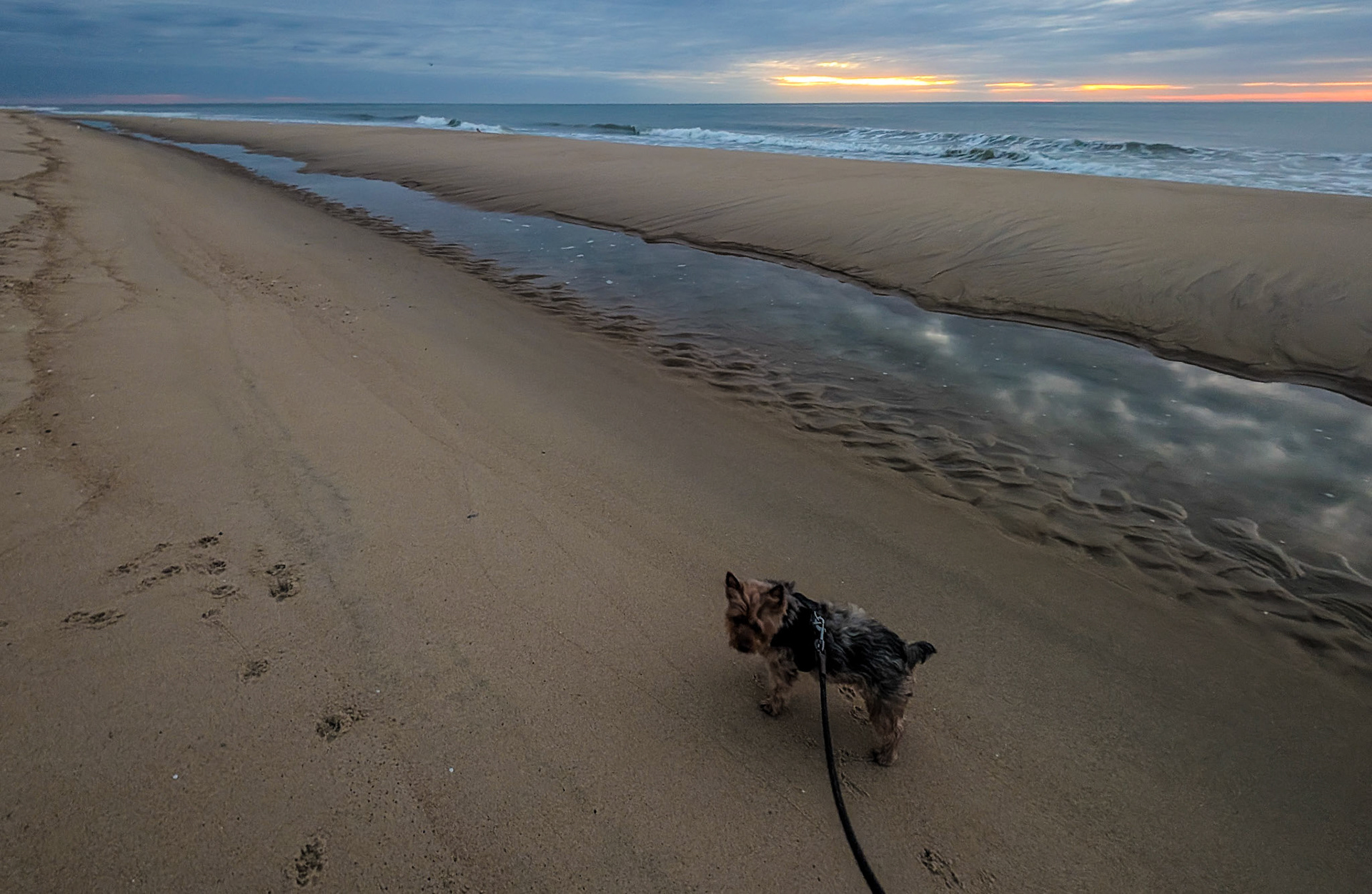 Wodehouse and reflecting clouds on the beach