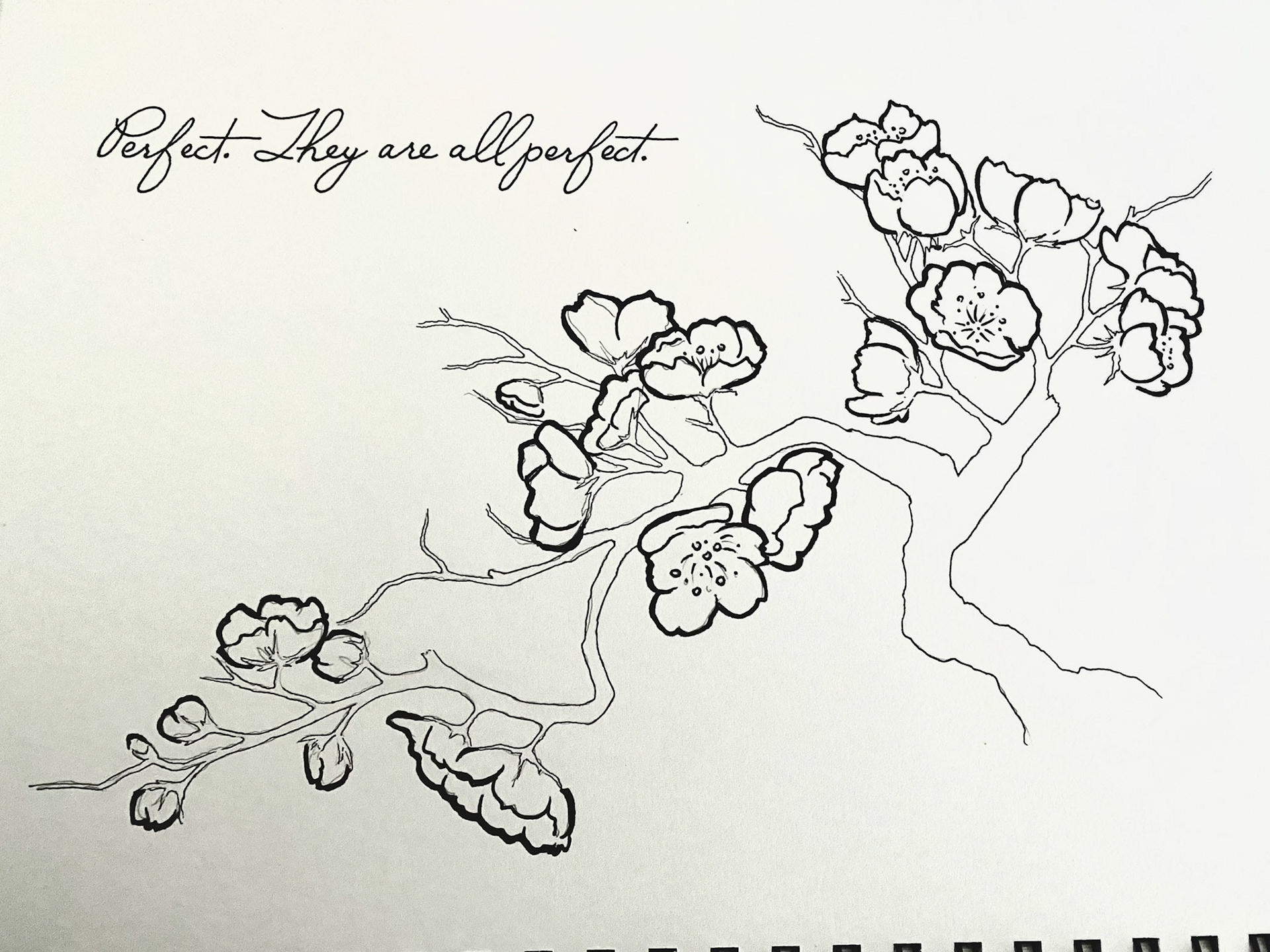 hand illustrated ink in sketchbook