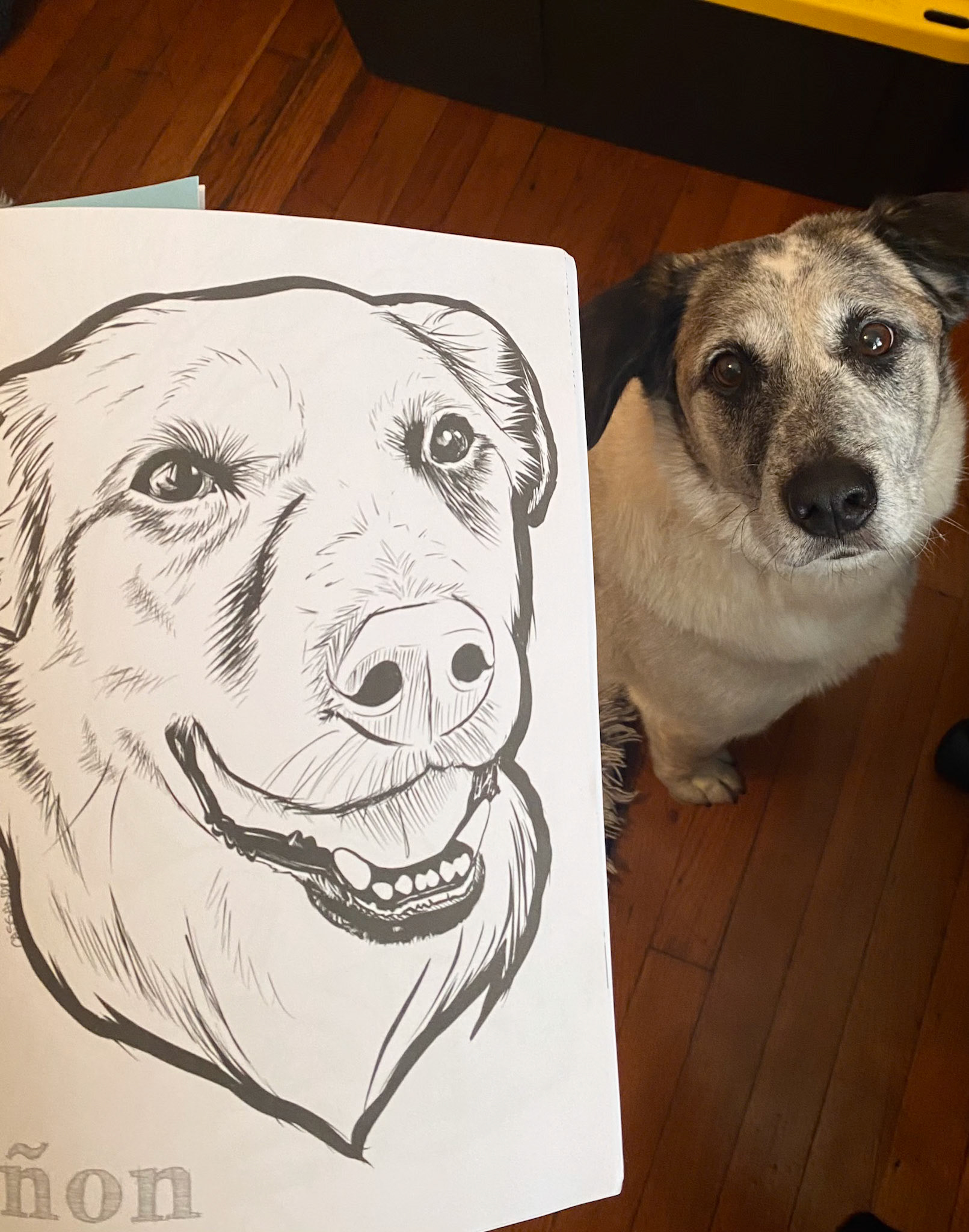 digital ink, printed