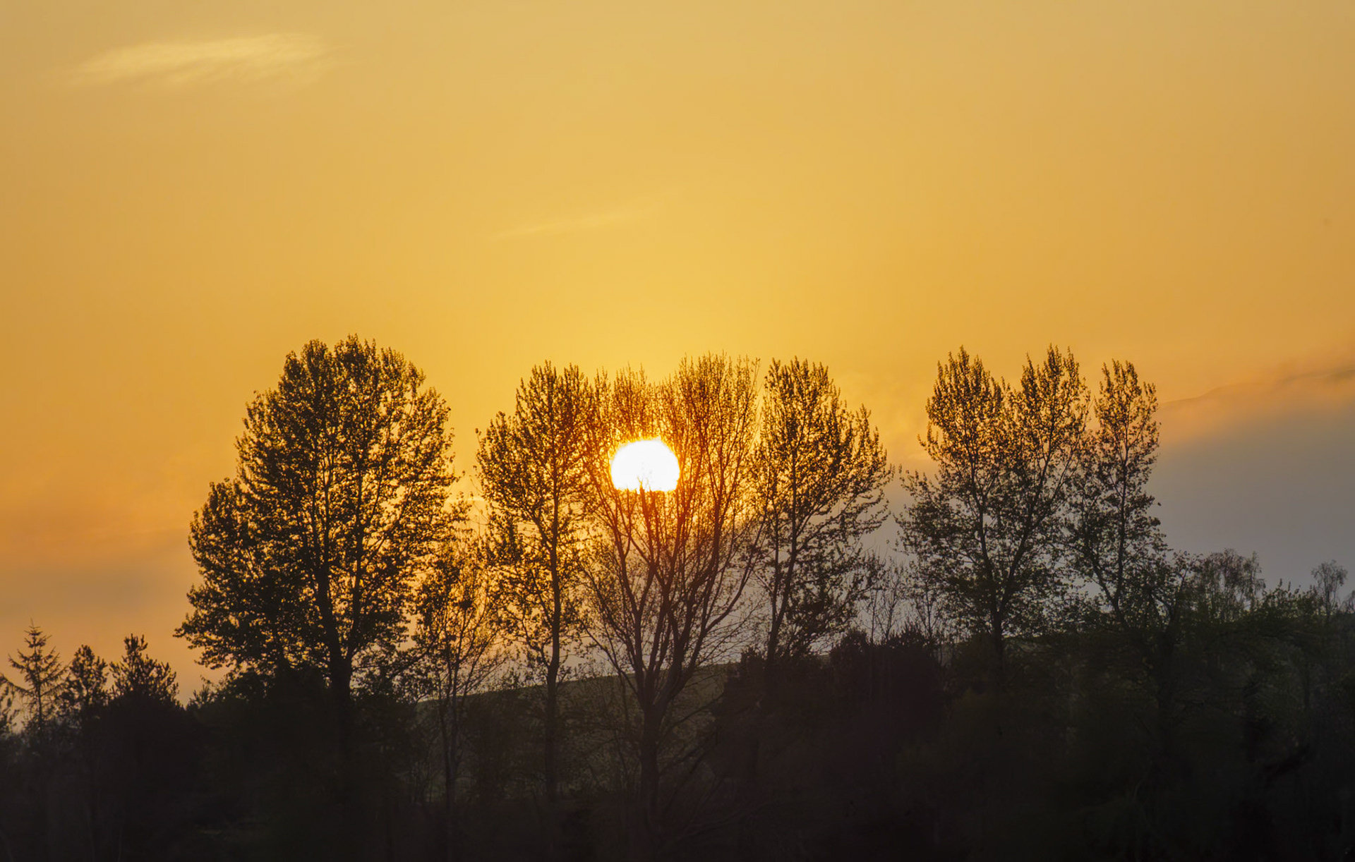 Sunset, Pentland Hills, Roslin, 2025